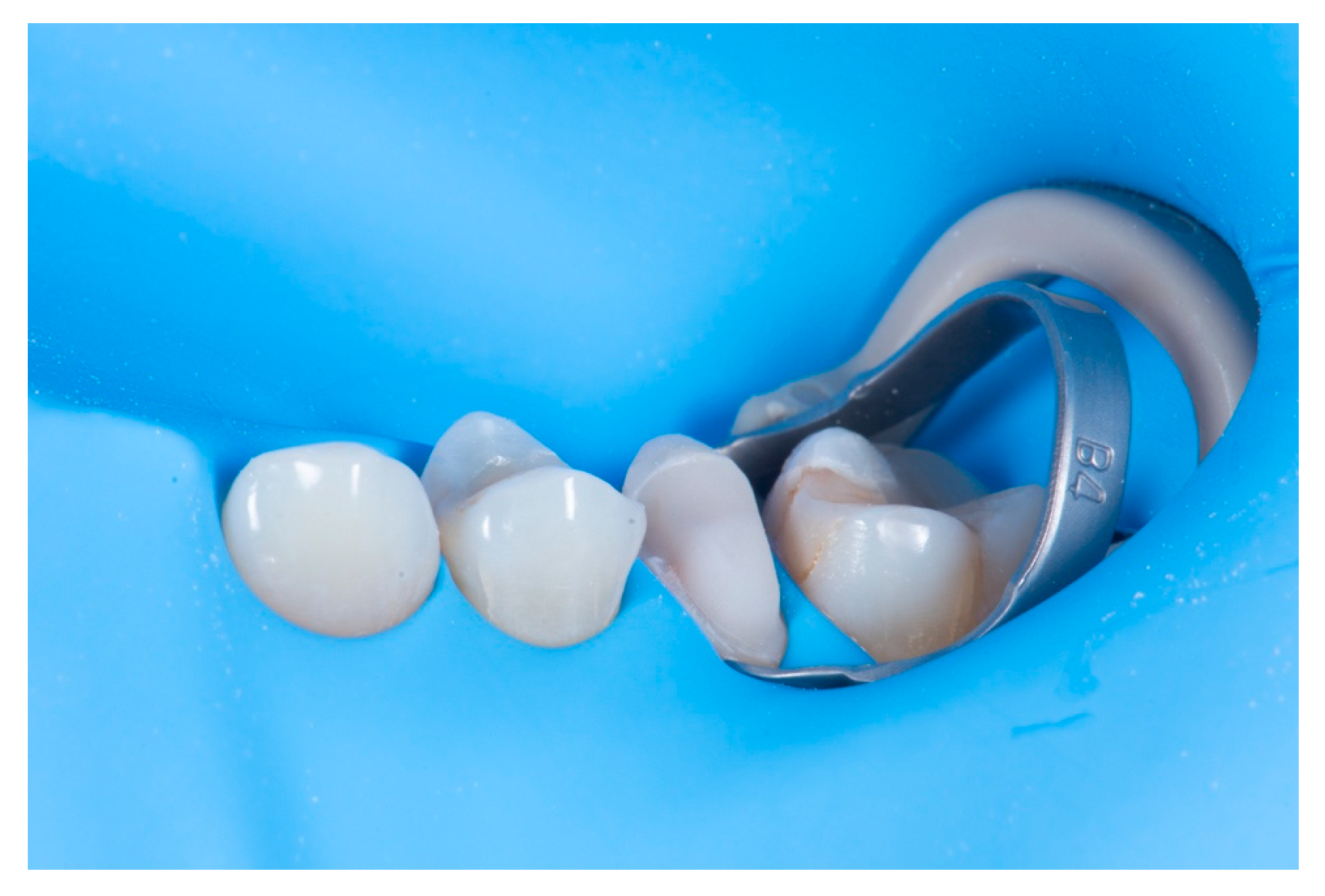 Preprints 153601 g010