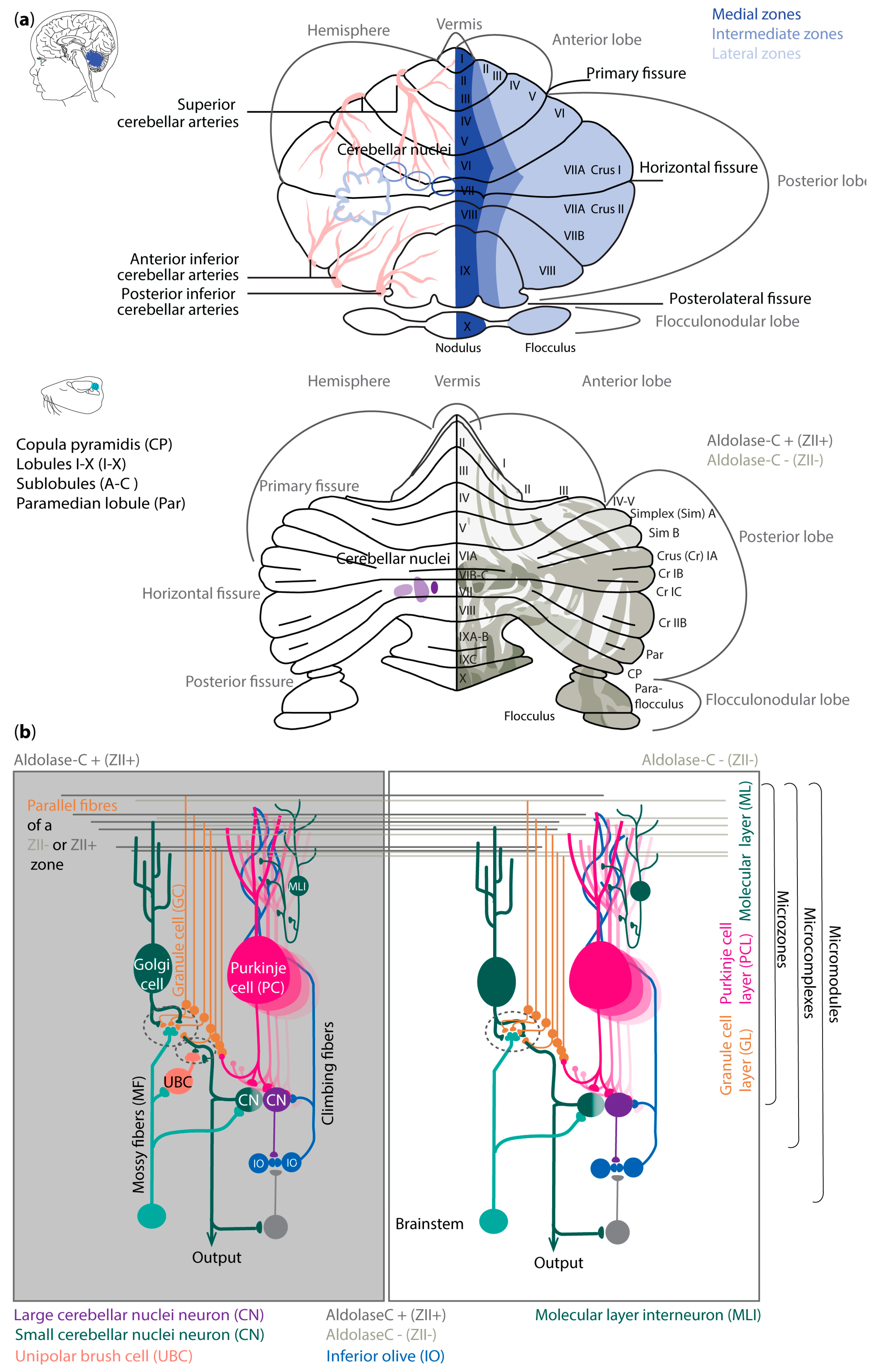 Preprints 138680 g001