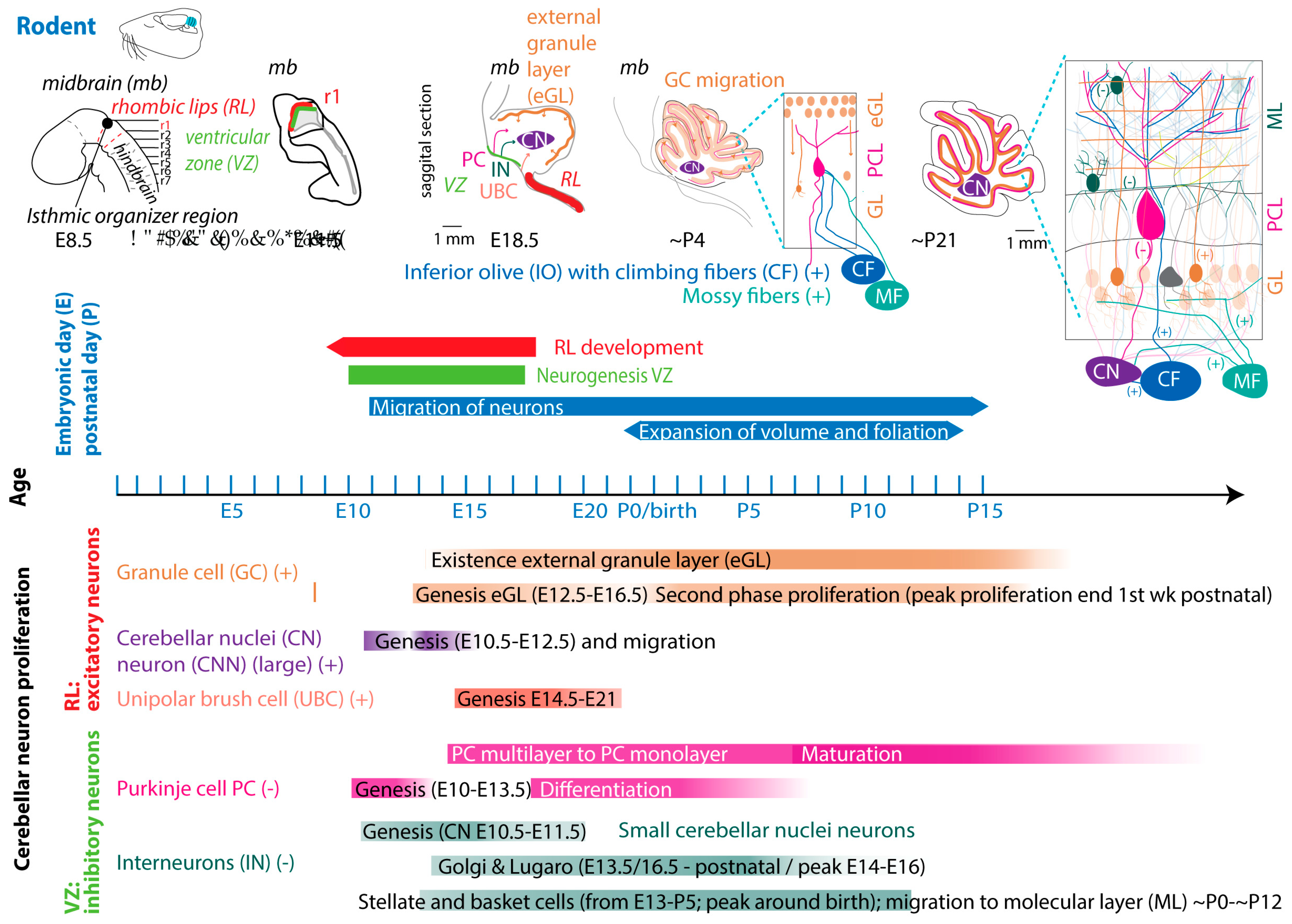 Preprints 138680 g003