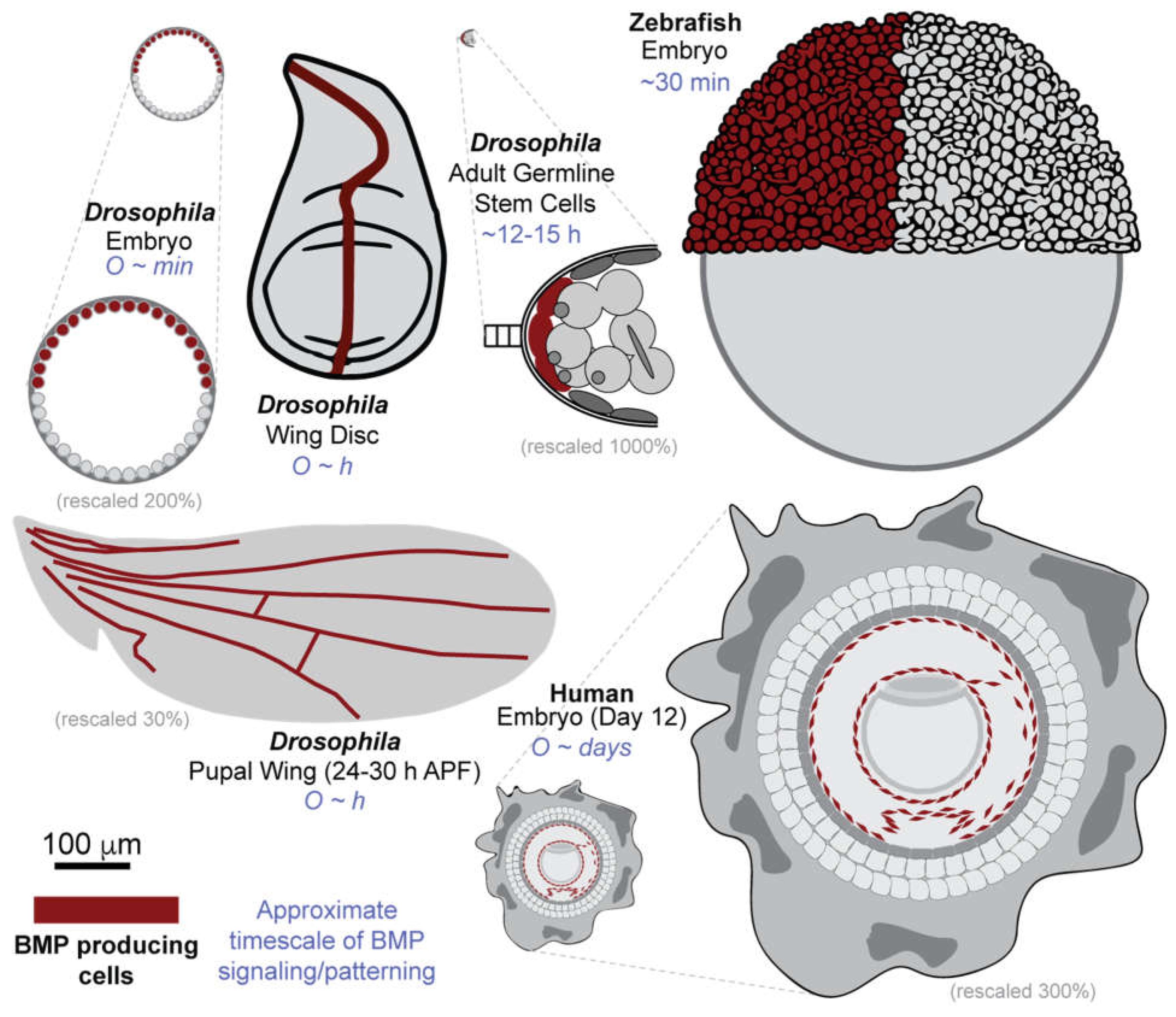 Preprints 192280 g001