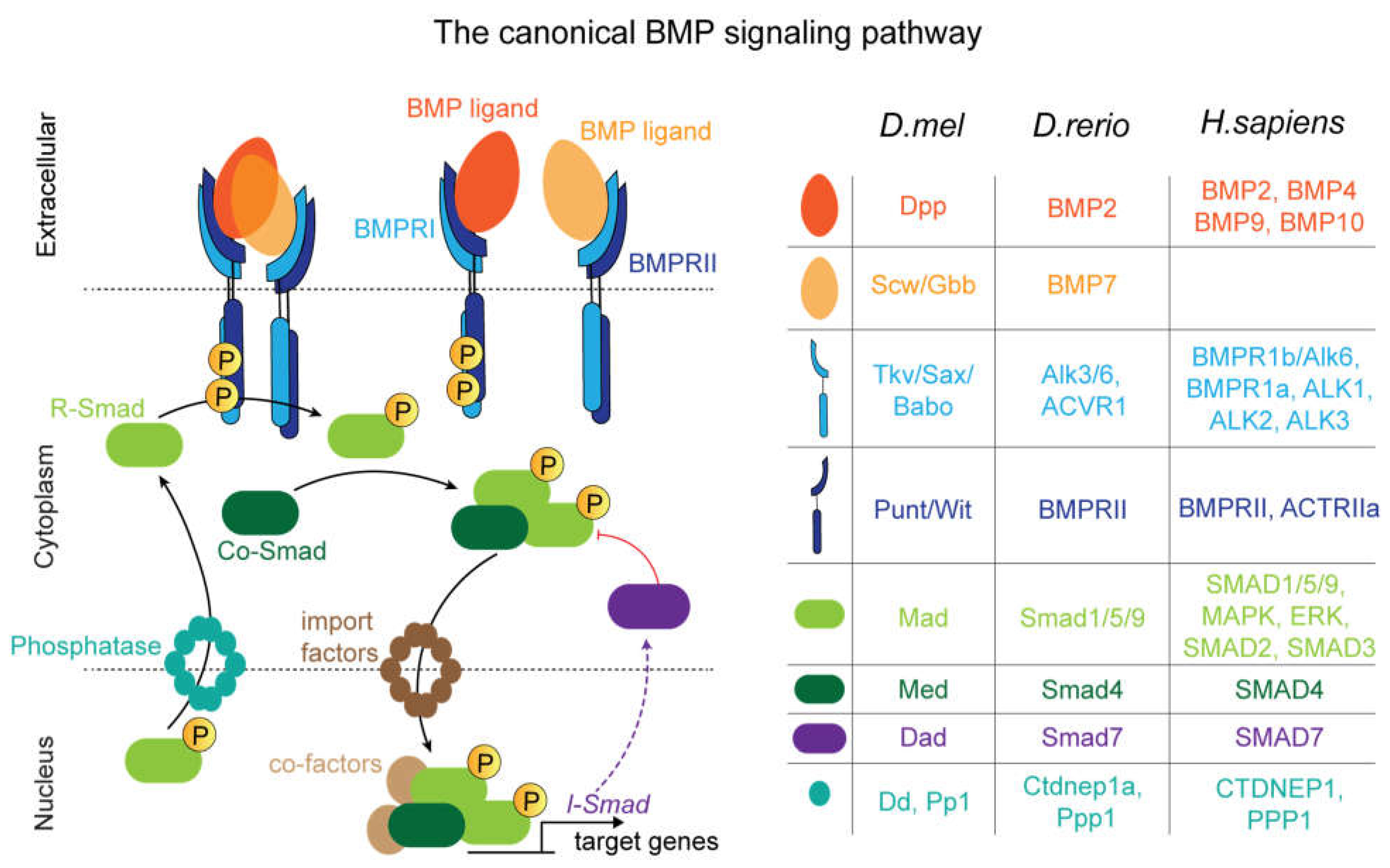 Preprints 192280 g002