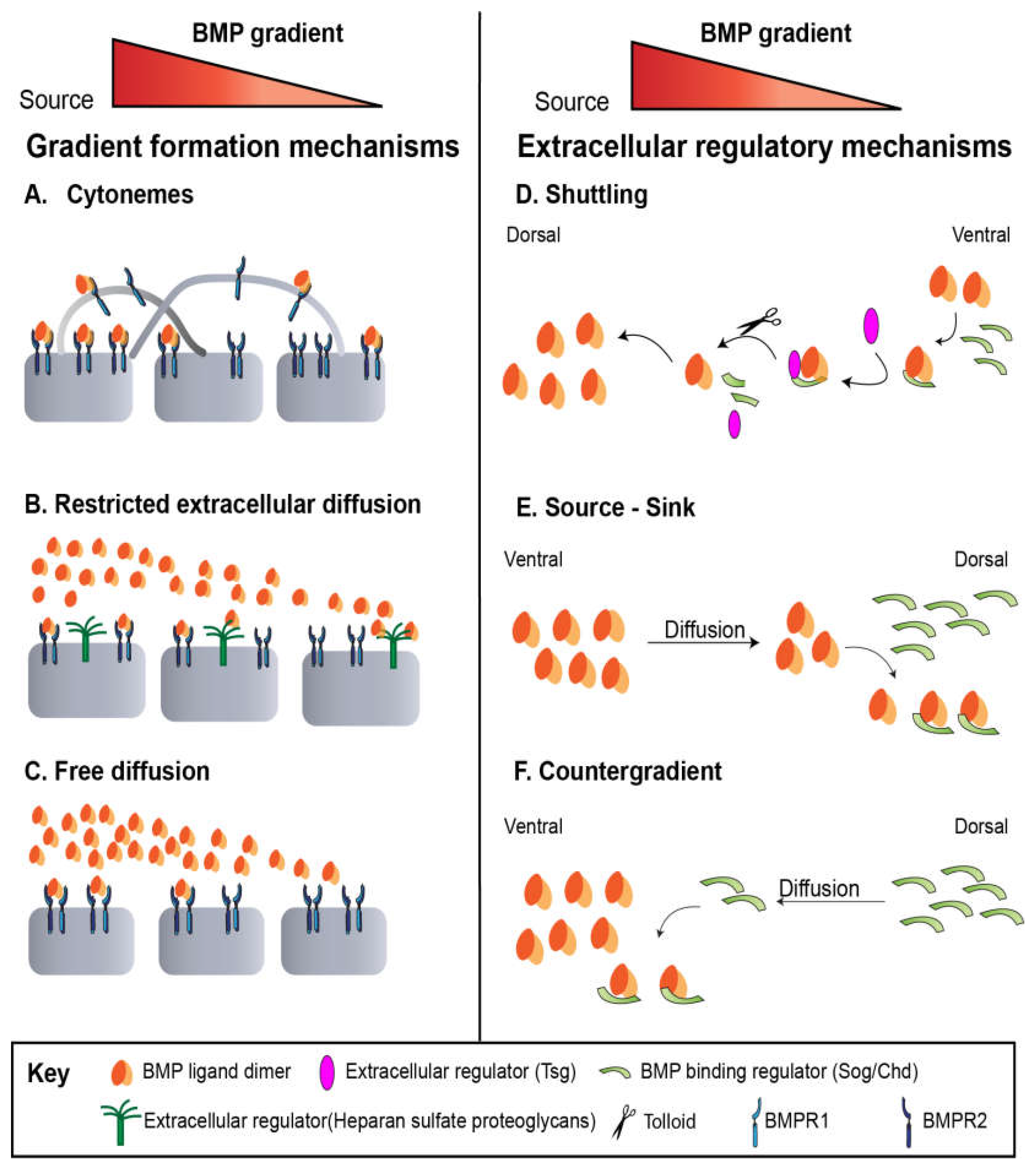Preprints 192280 g003