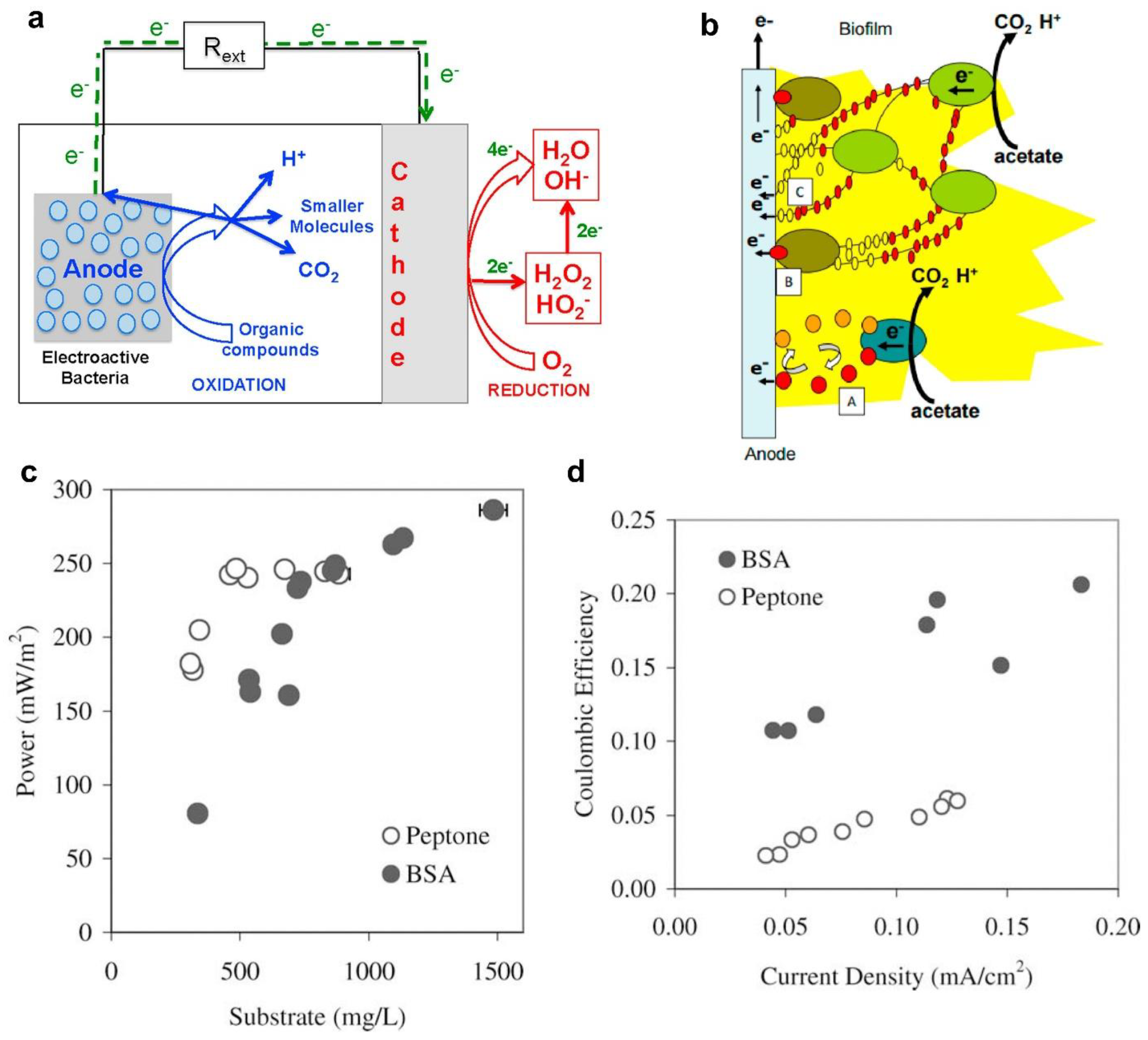 Preprints 168772 g007