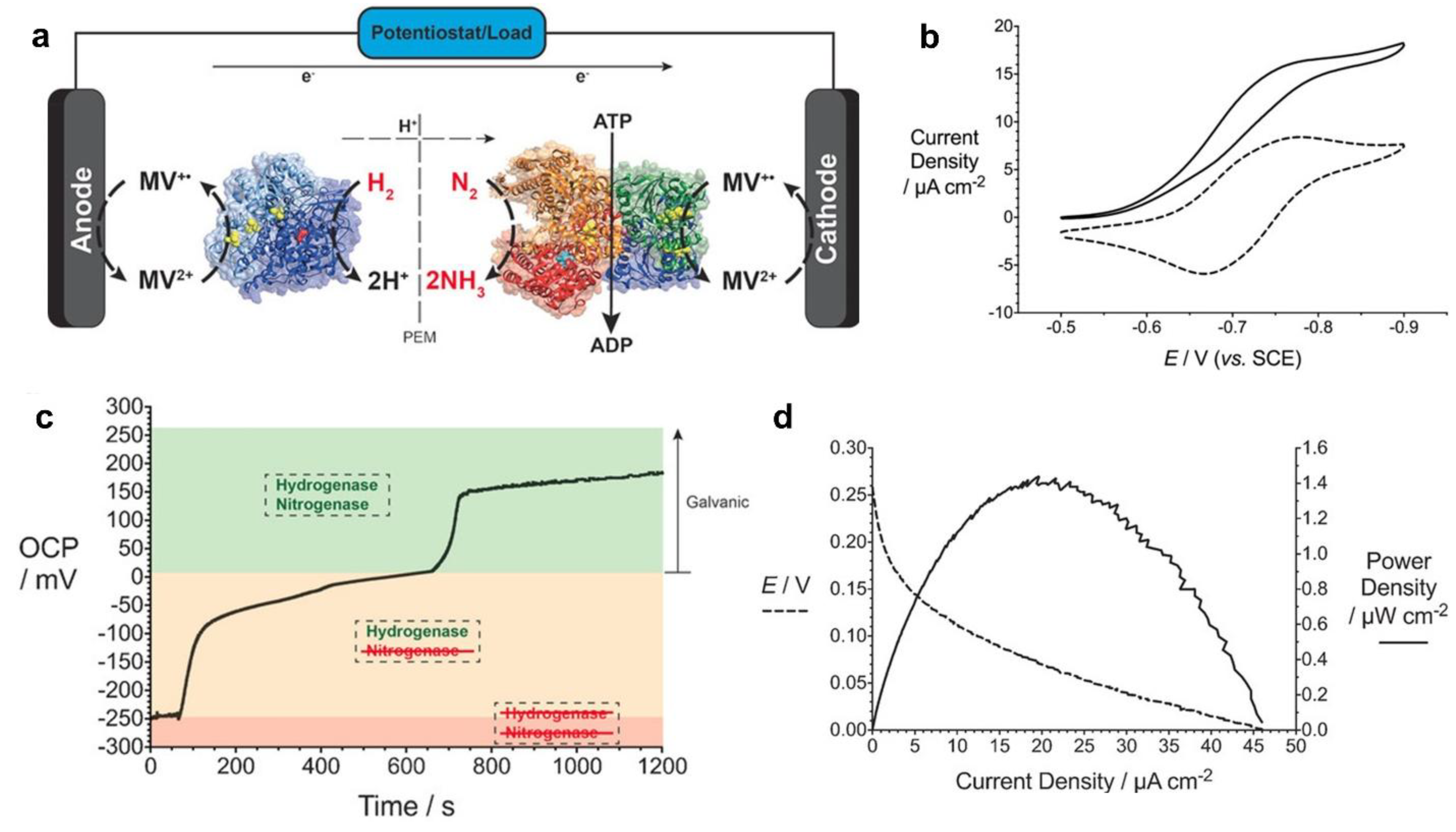 Preprints 168772 g008