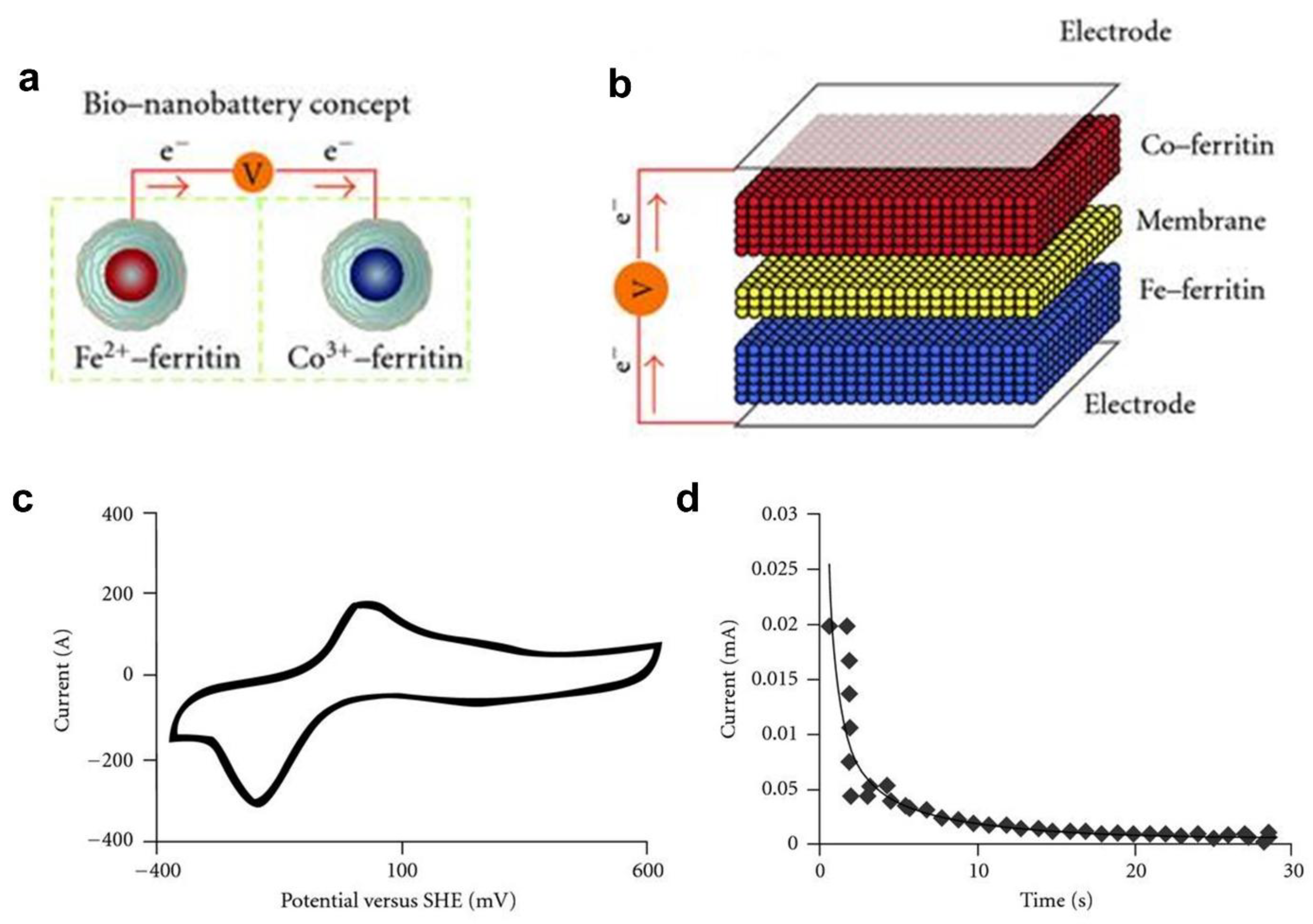 Preprints 168772 g009