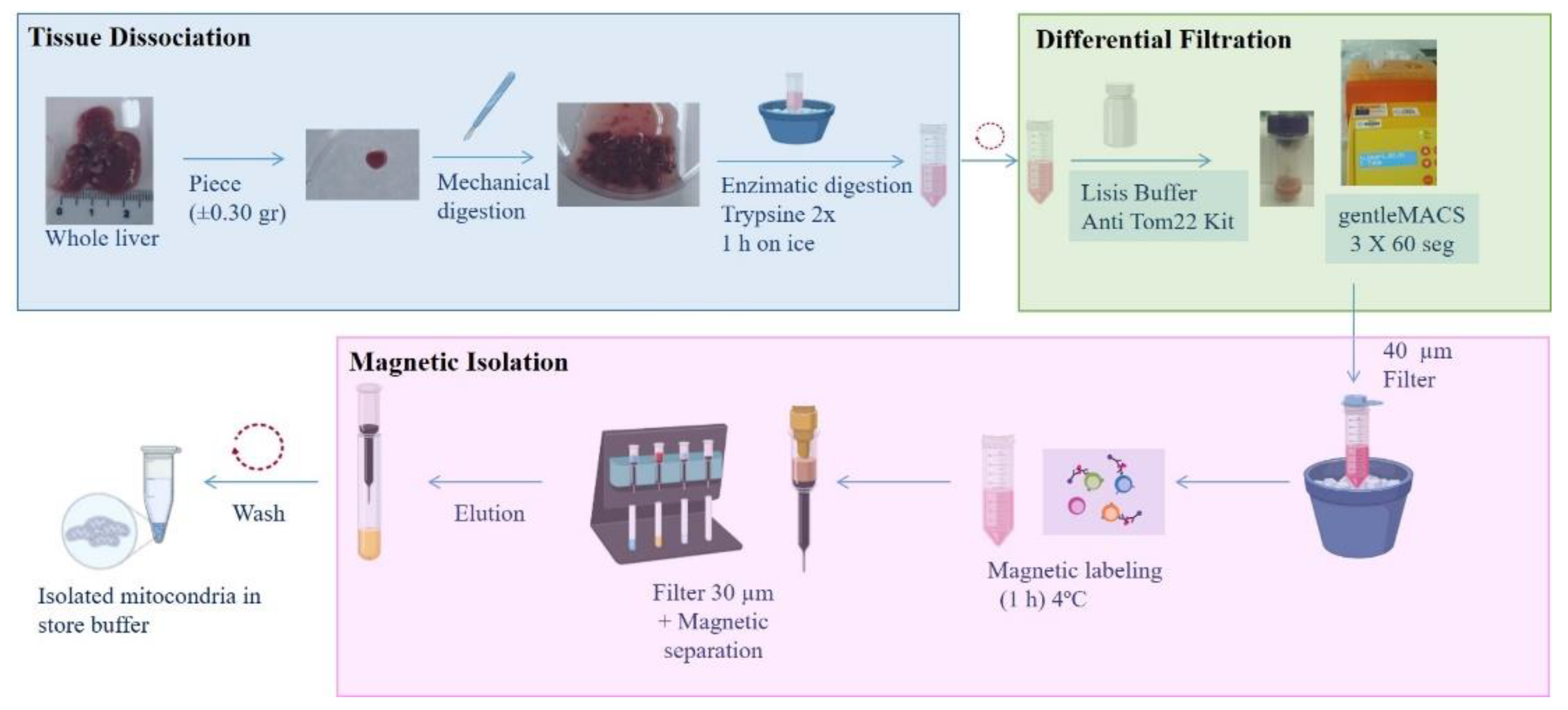 Preprints 139773 g001
