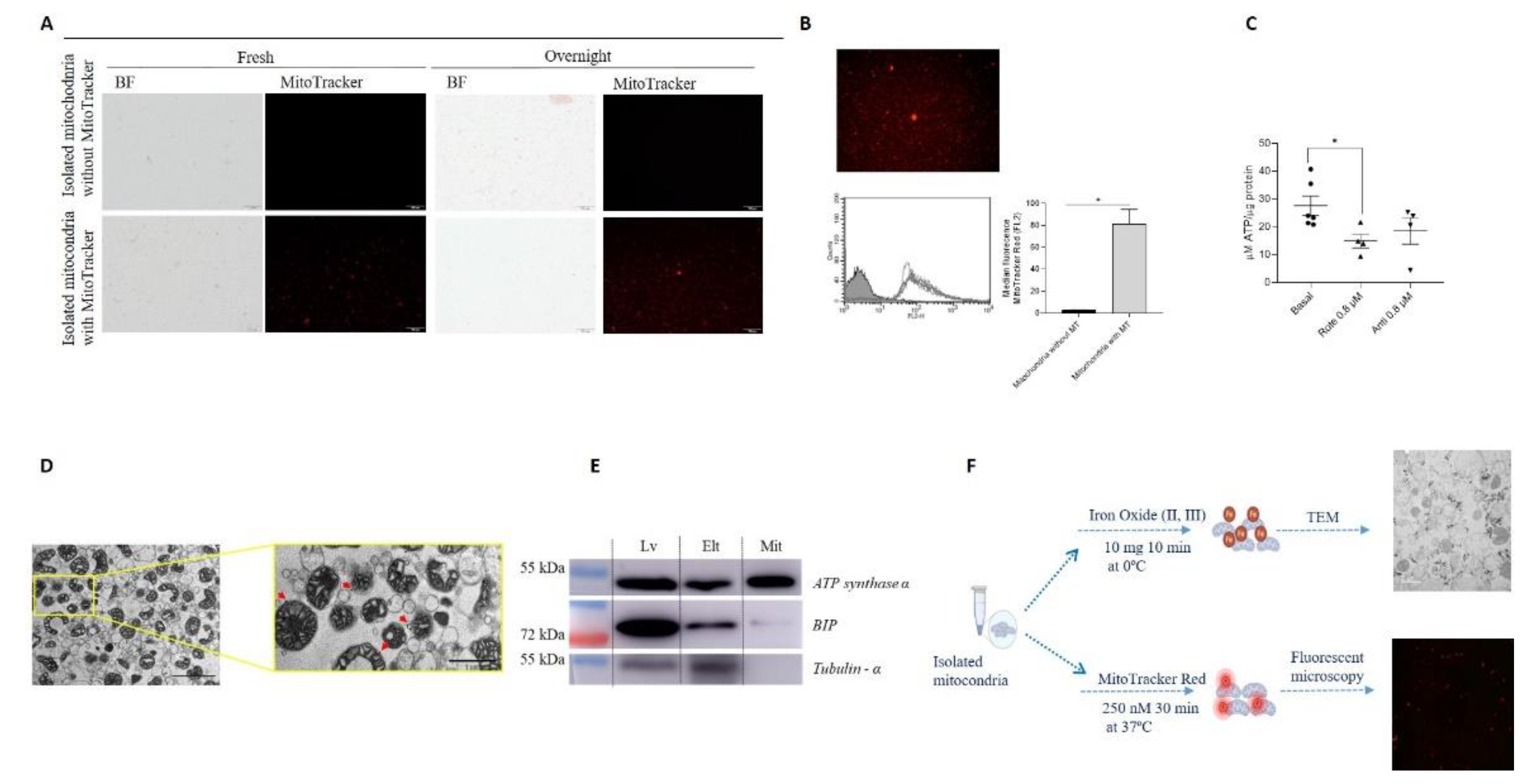 Preprints 139773 g002
