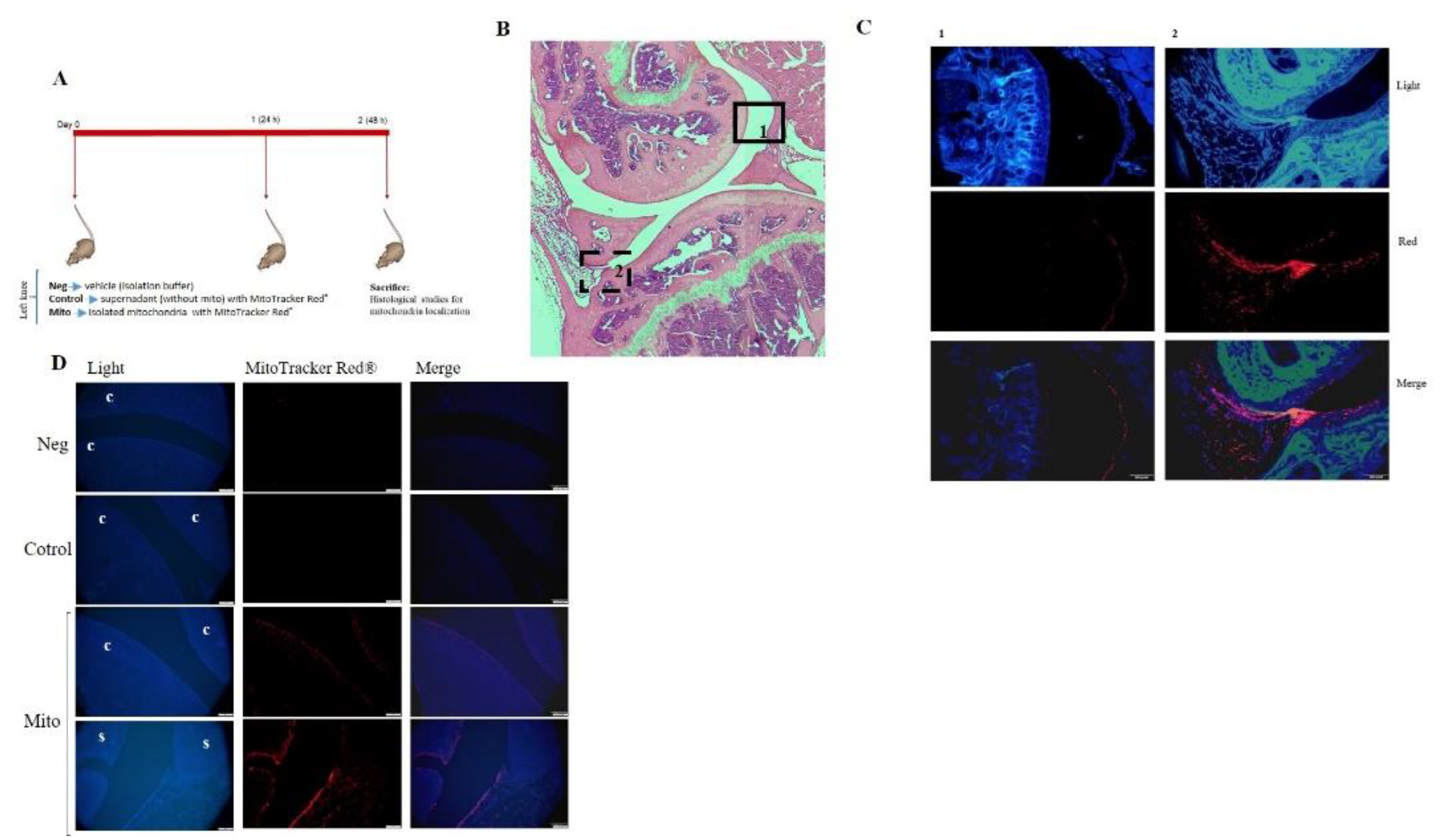 Preprints 139773 g006
