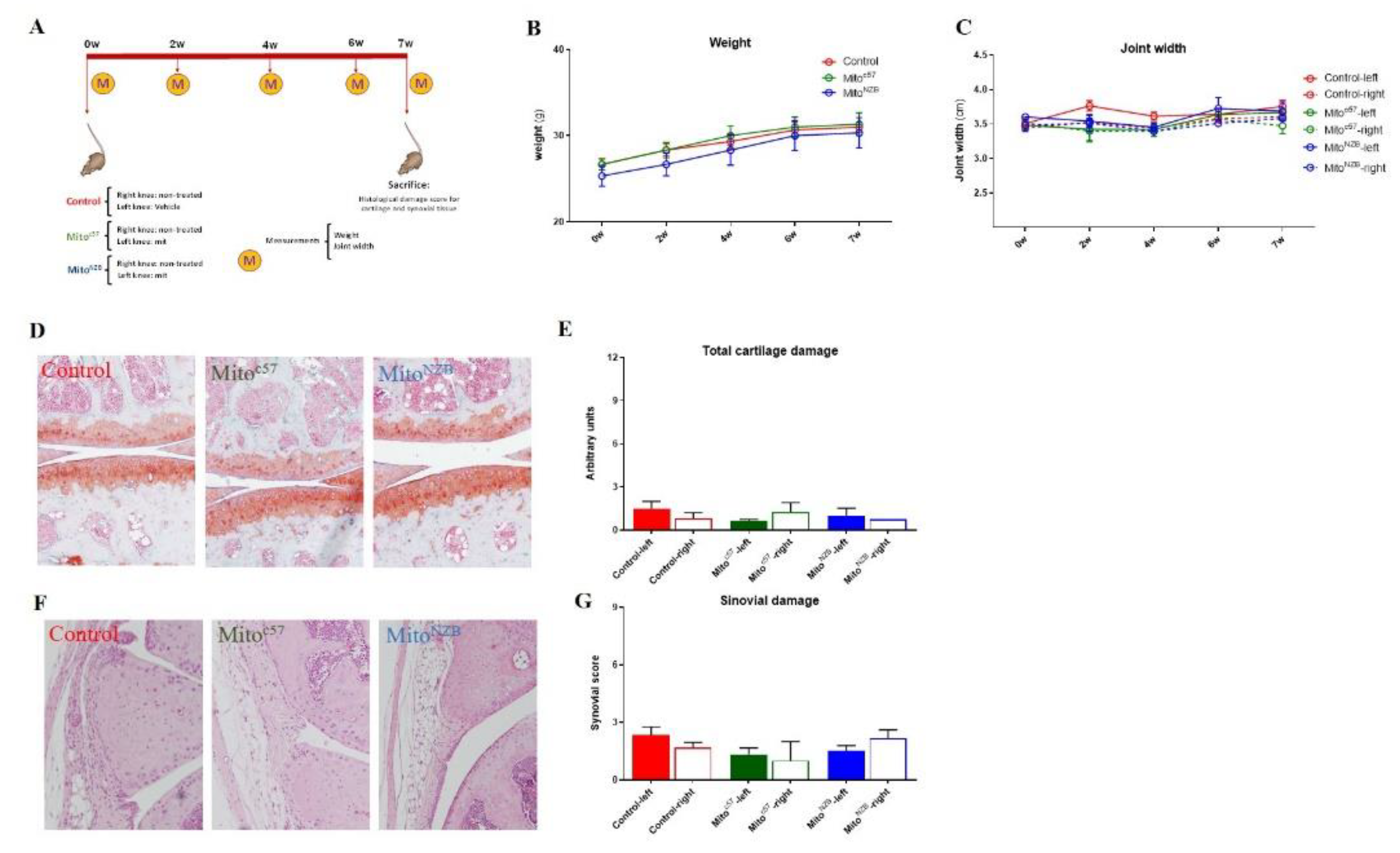 Preprints 139773 g007