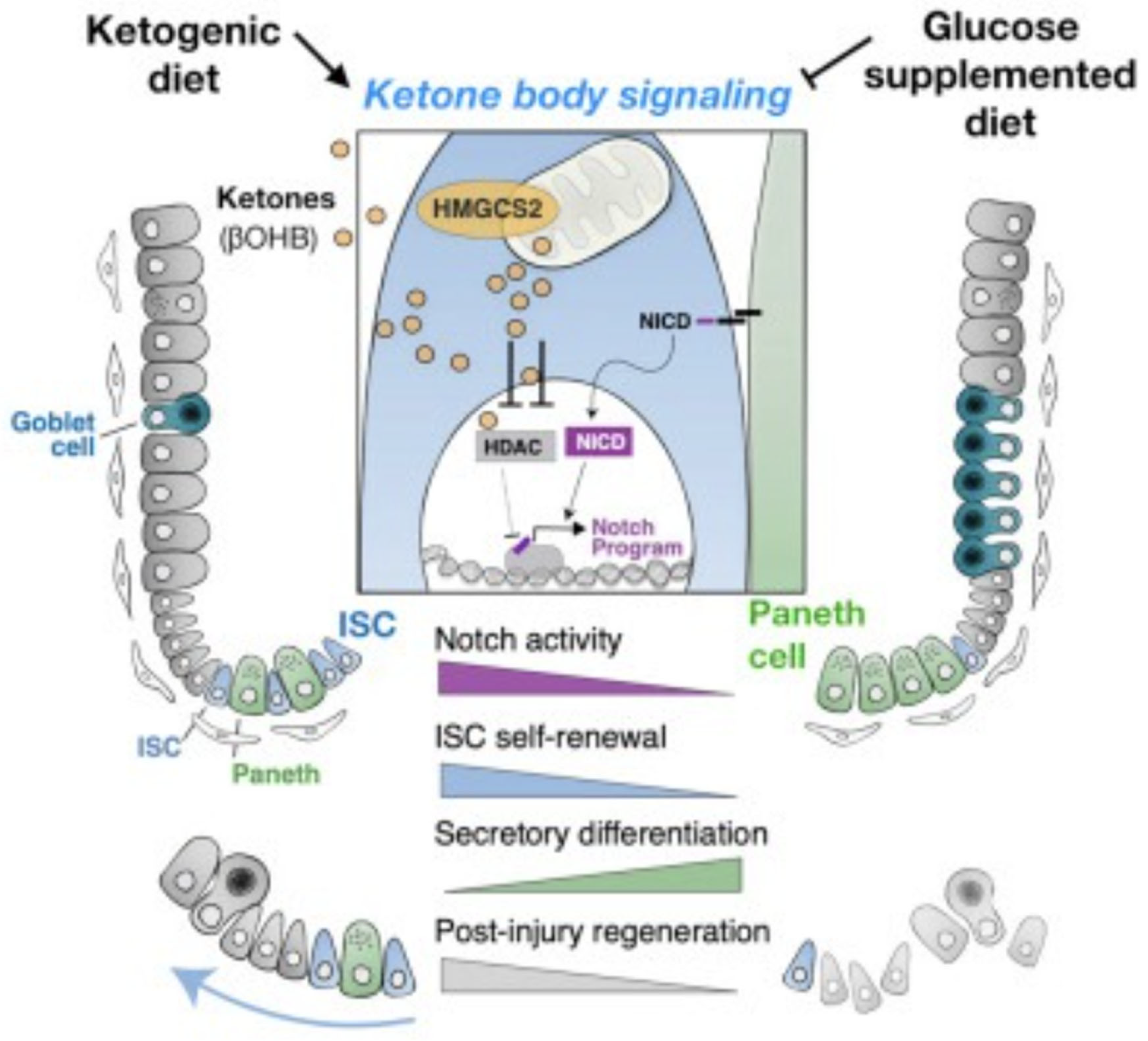 Preprints 116892 g001