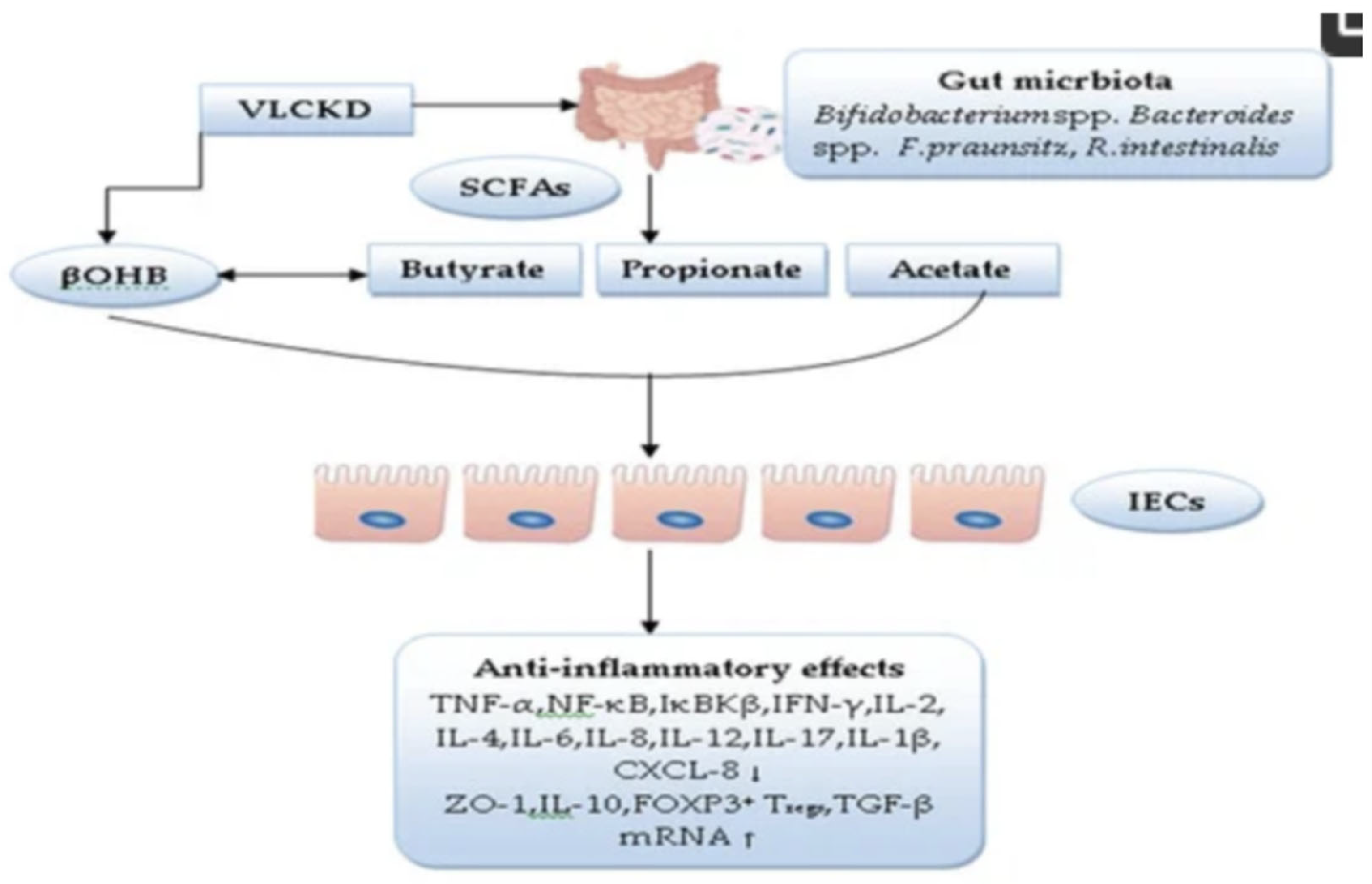 Preprints 116892 g003