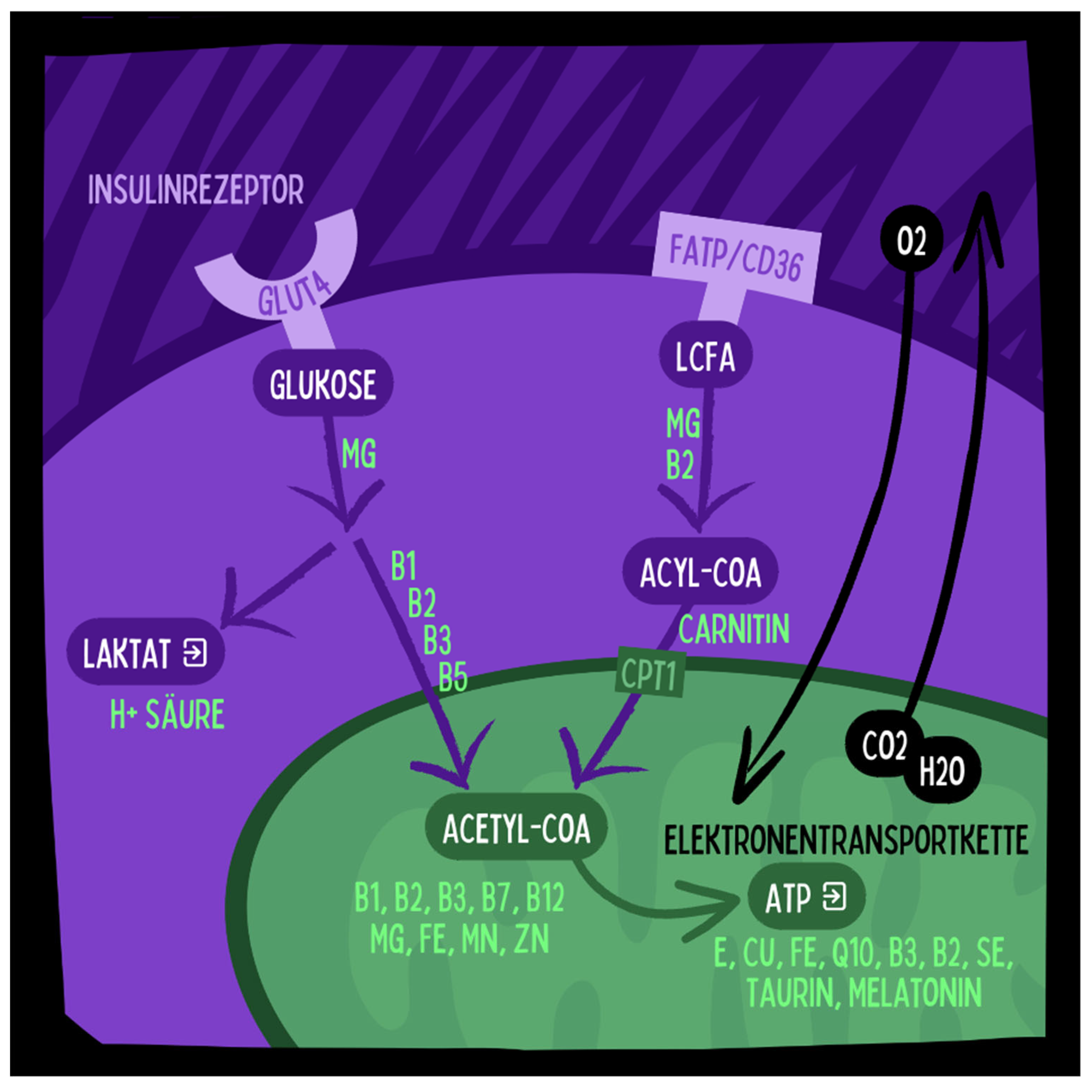 Preprints 116892 g004