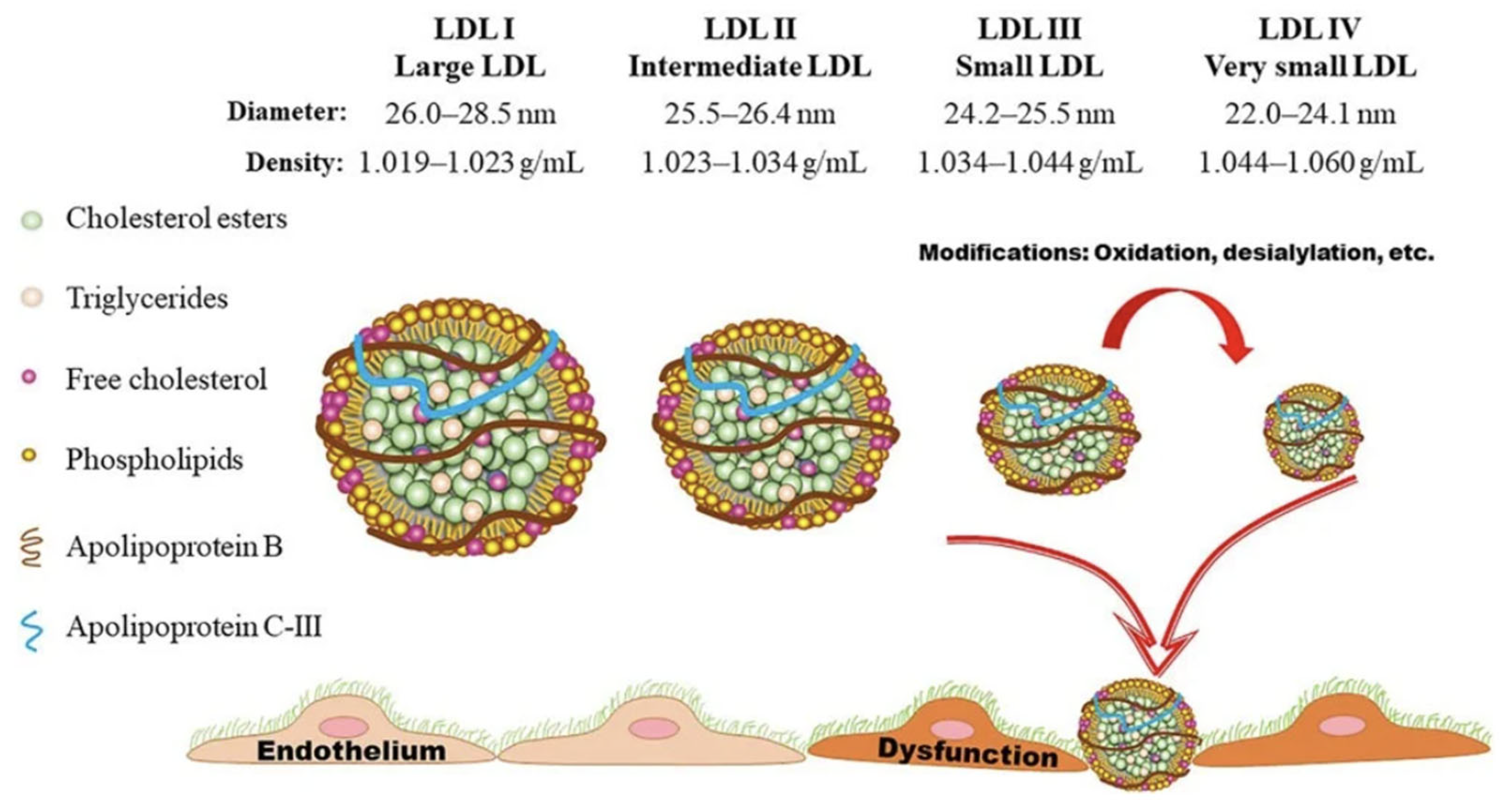Preprints 116892 g006