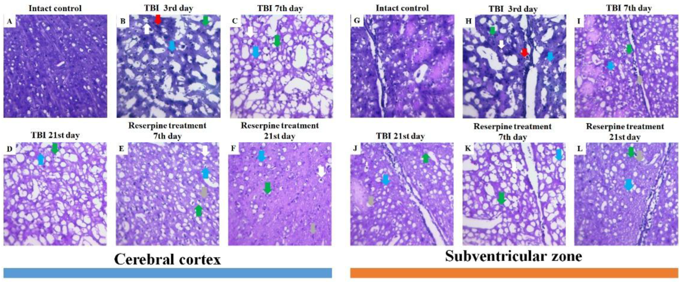 Preprints 188709 g004