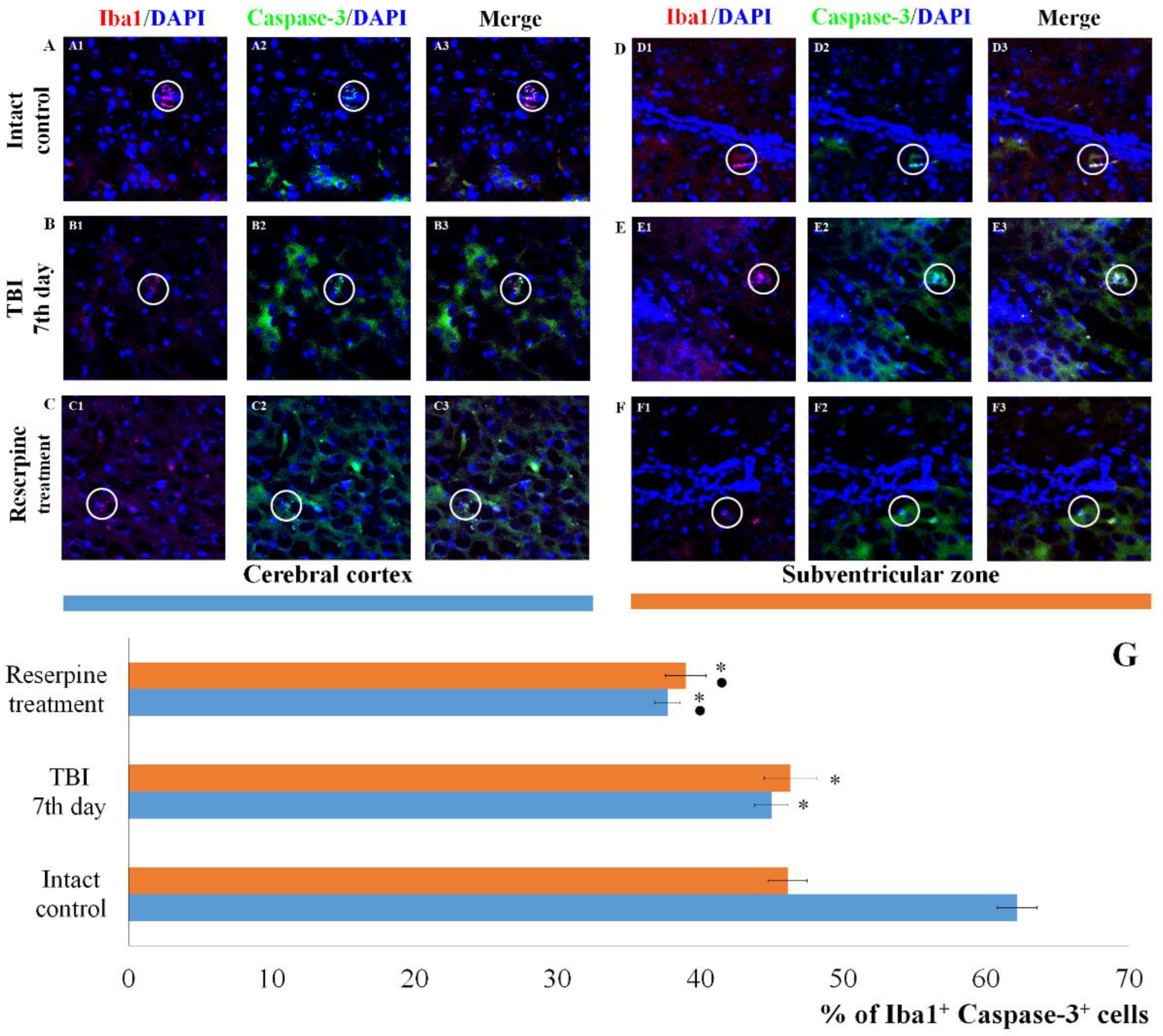 Preprints 188709 g007