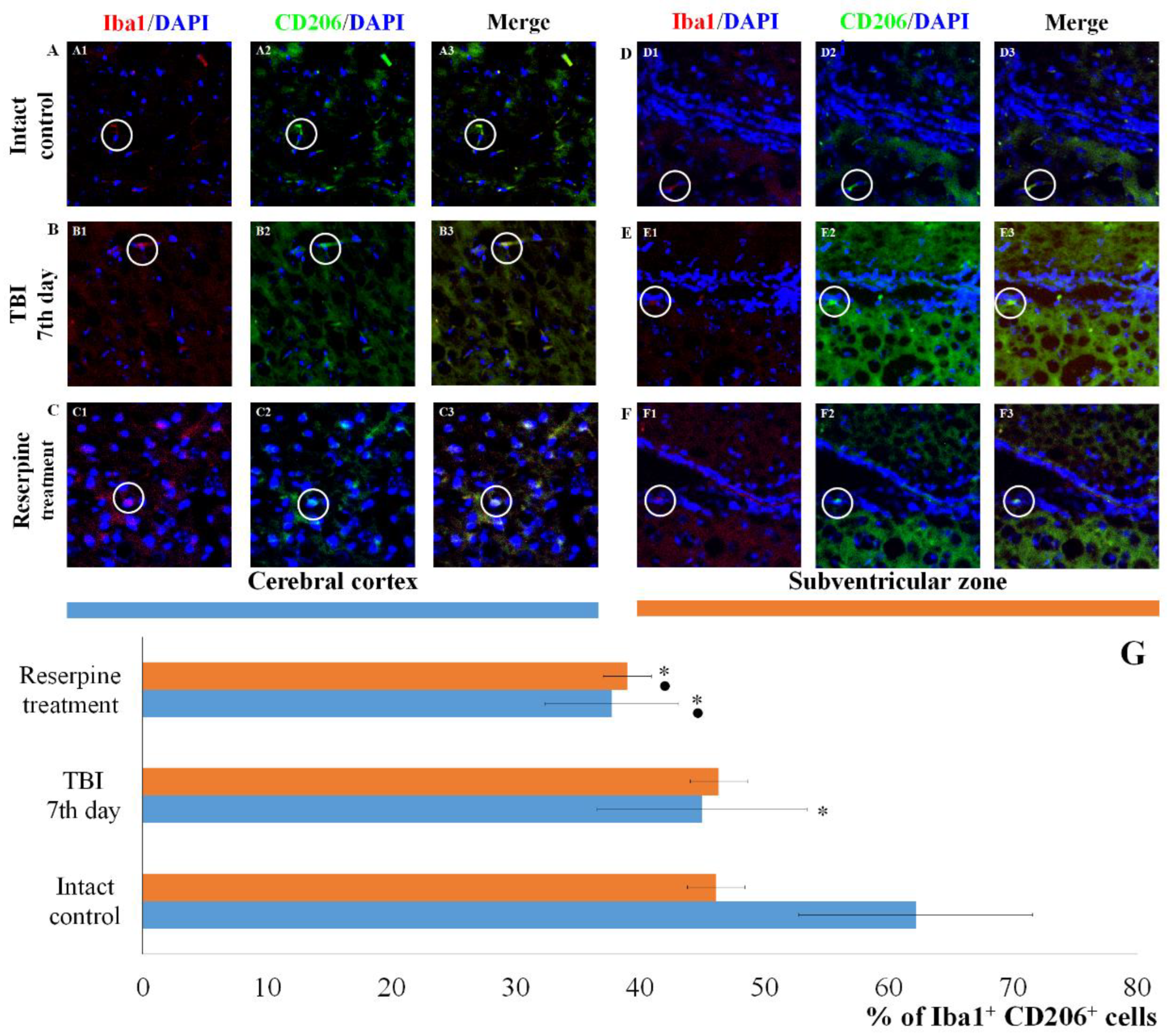 Preprints 188709 g008