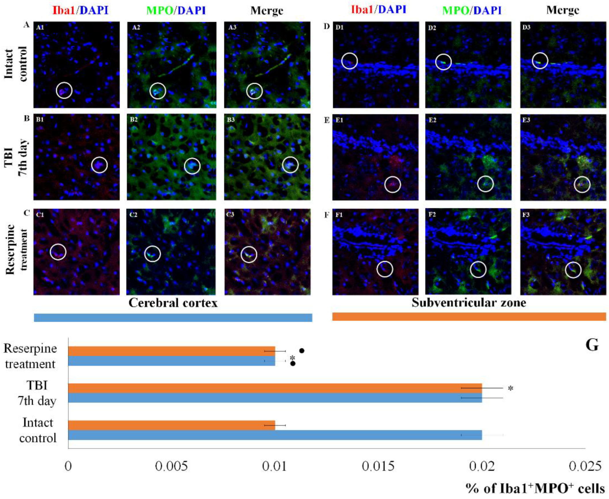 Preprints 188709 g009