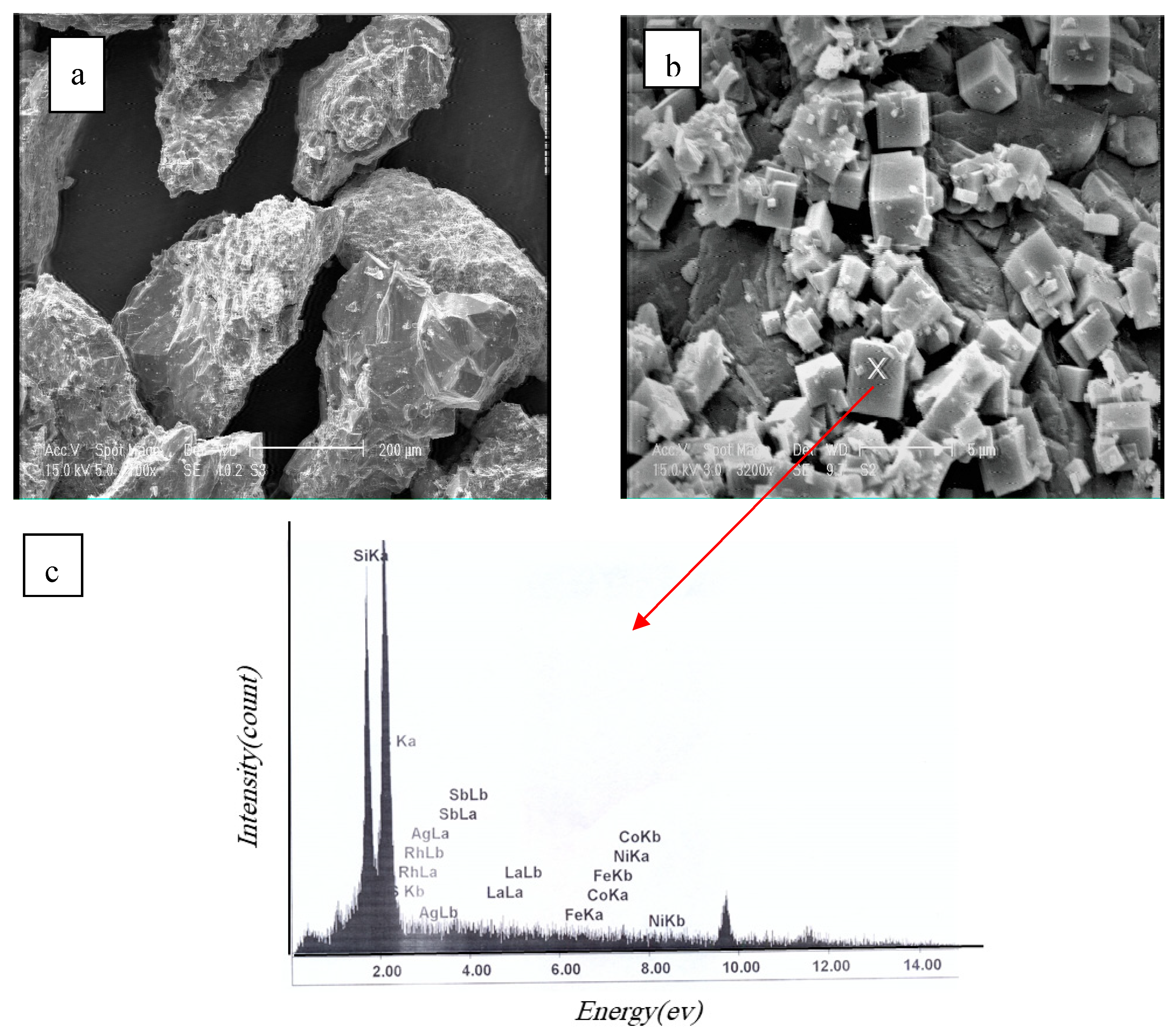 Preprints 146831 g015