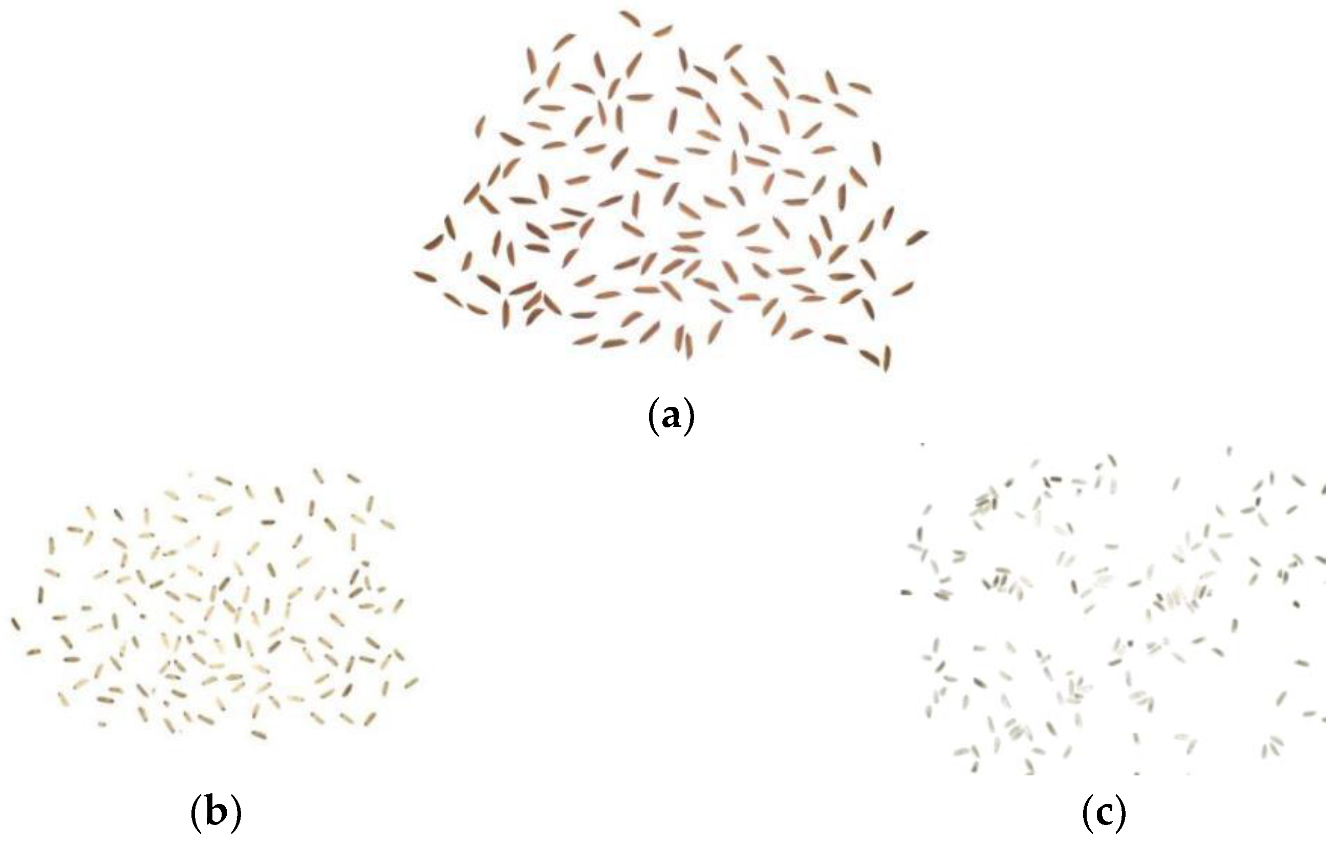 Preprints 158069 g002