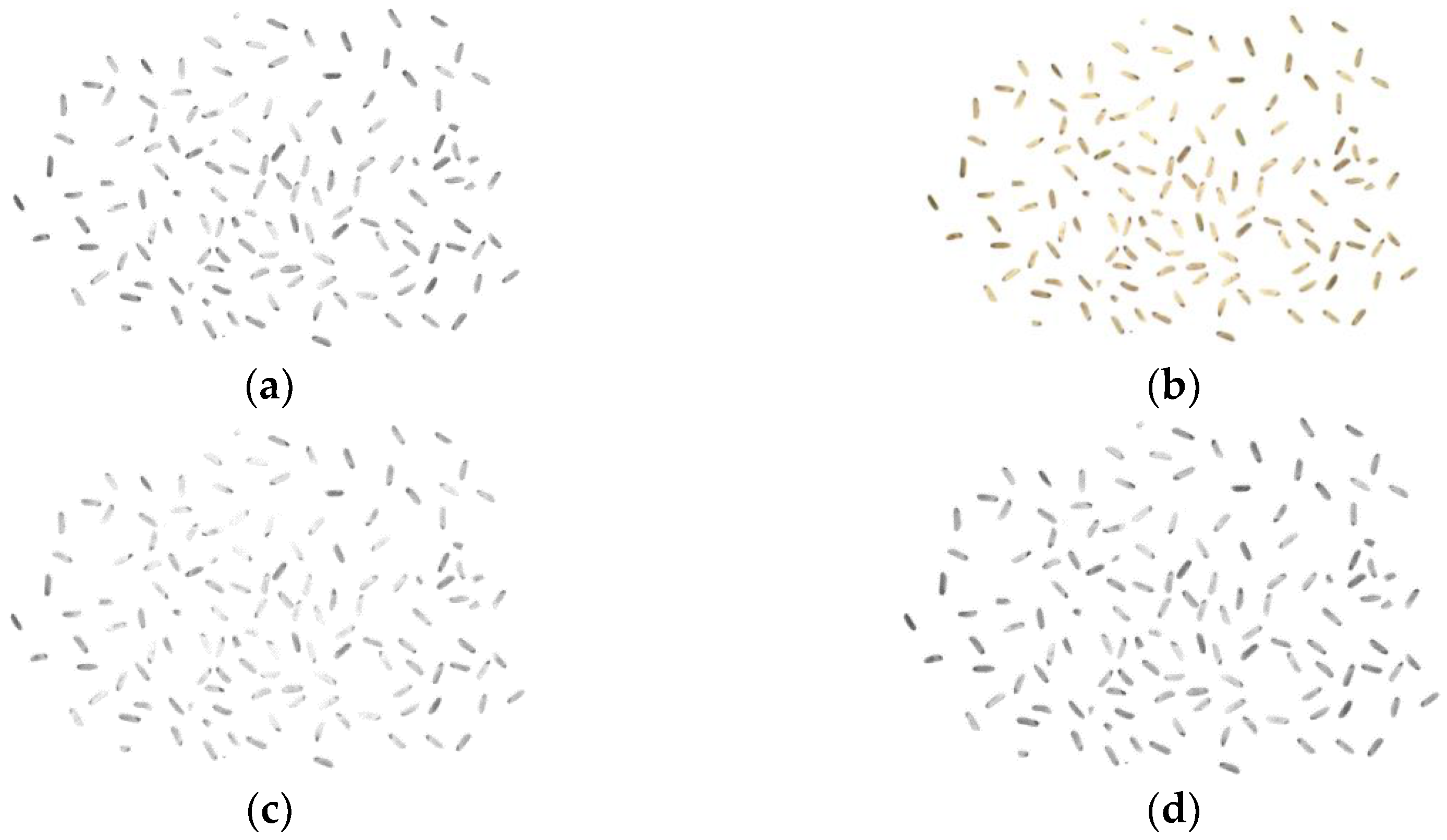 Preprints 158069 g003