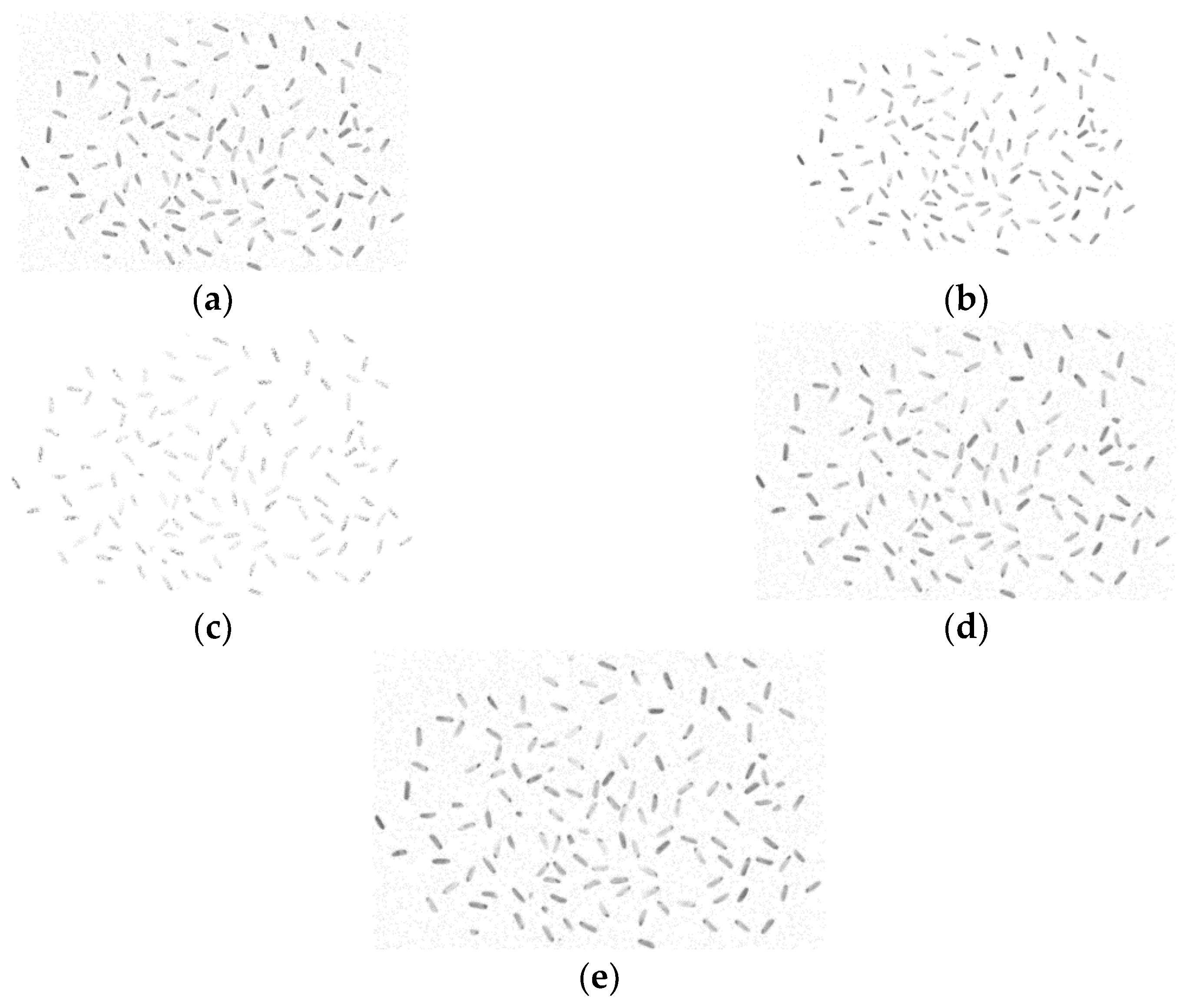 Preprints 158069 g004