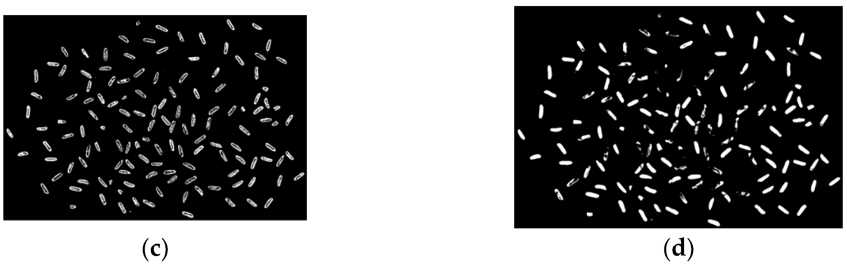 Preprints 158069 g005b