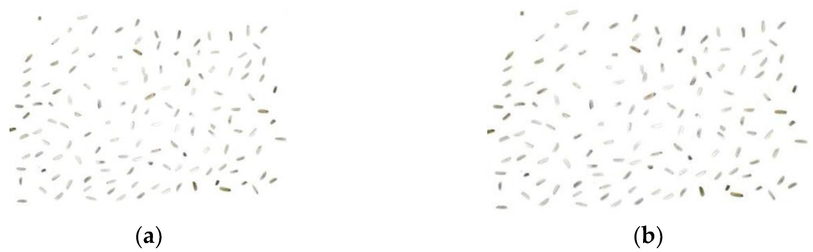 Preprints 158069 g007