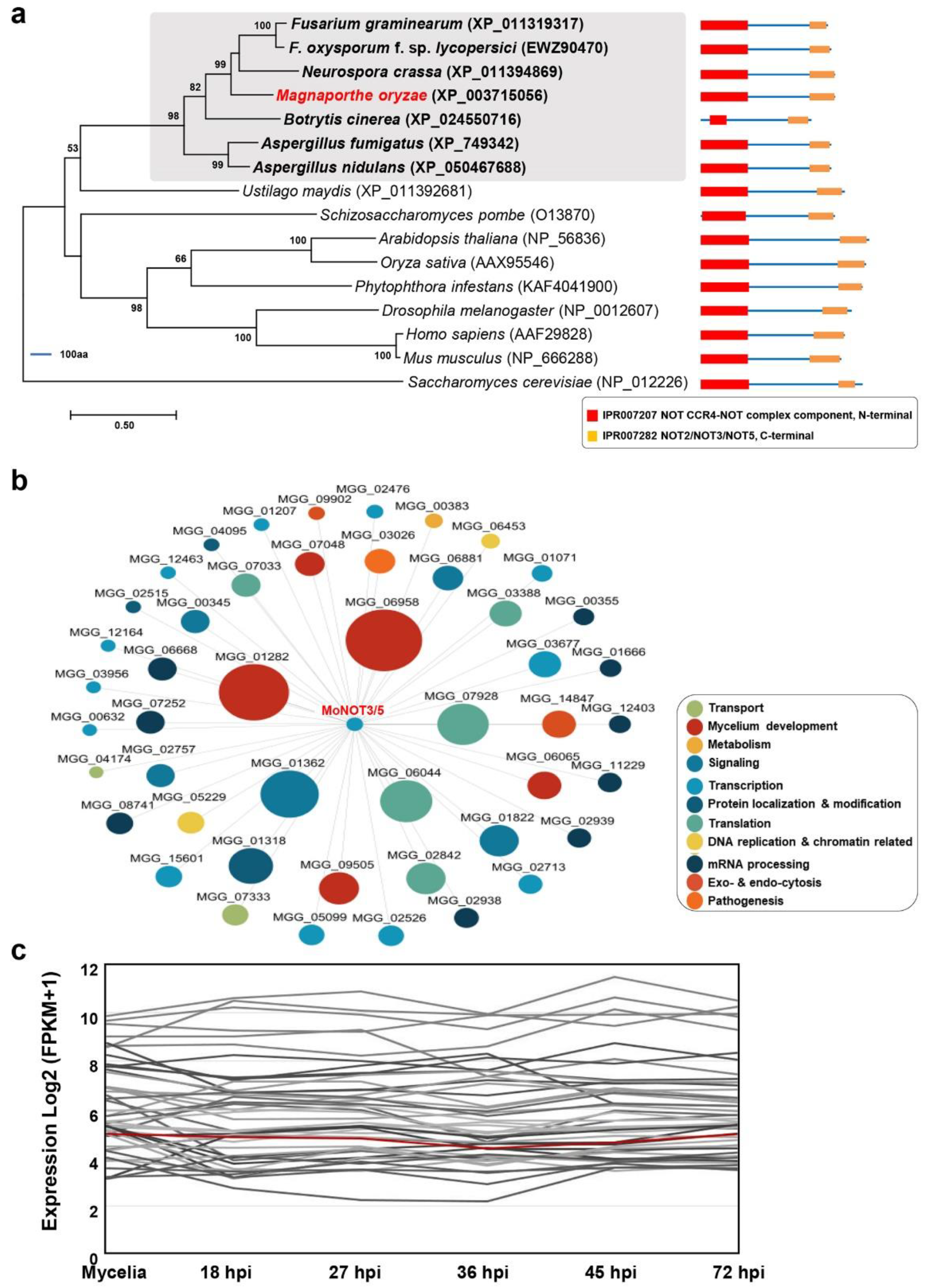 Preprints 98969 g001
