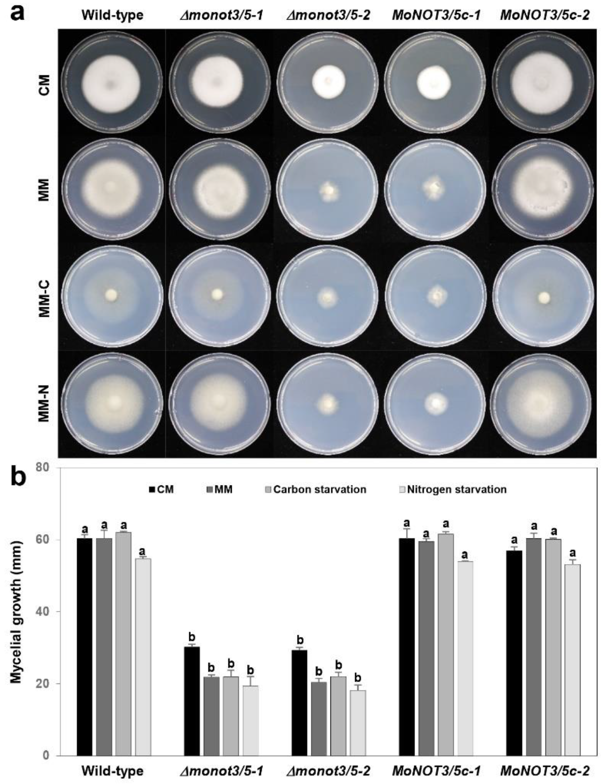 Preprints 98969 g003