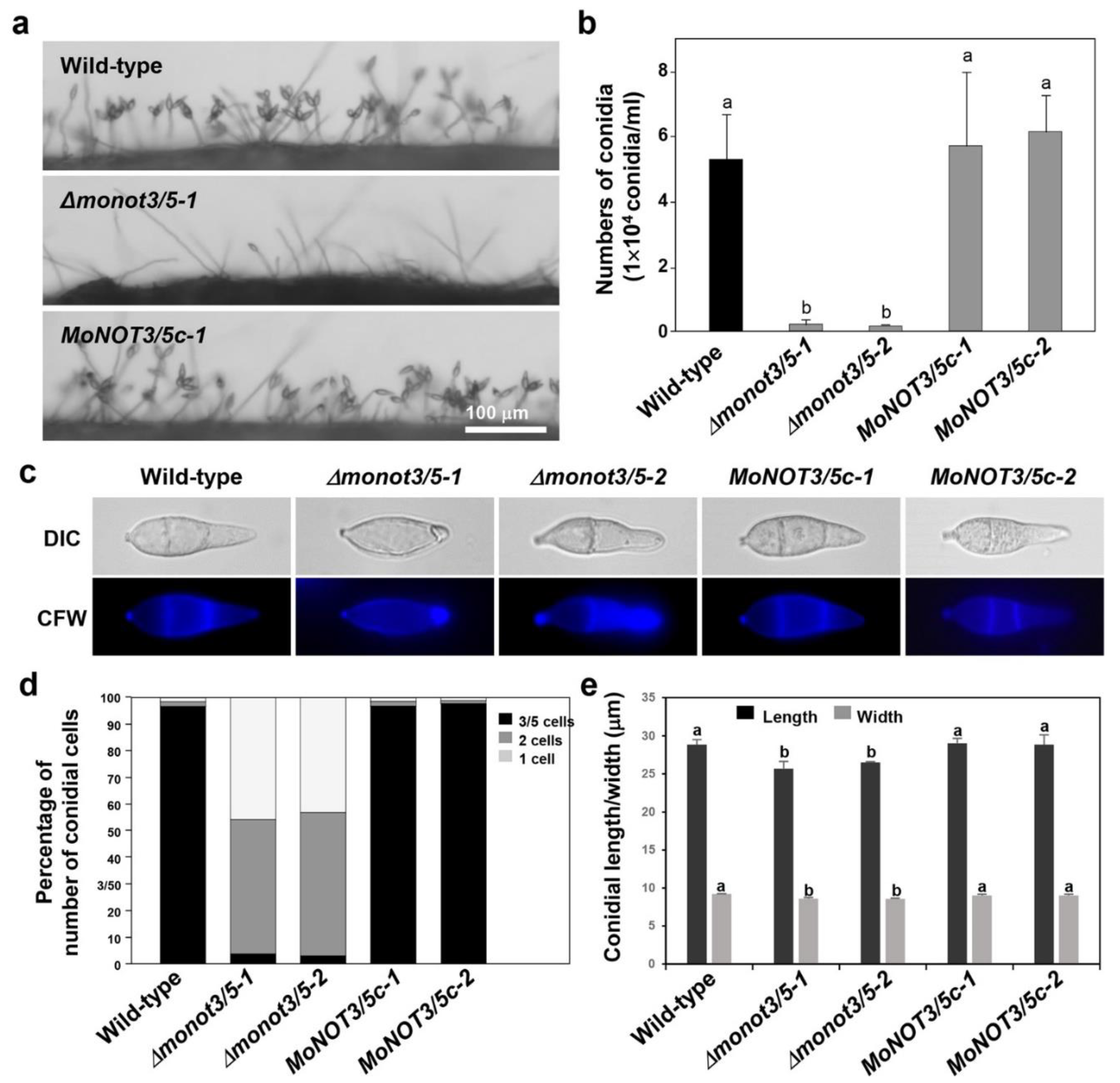 Preprints 98969 g004