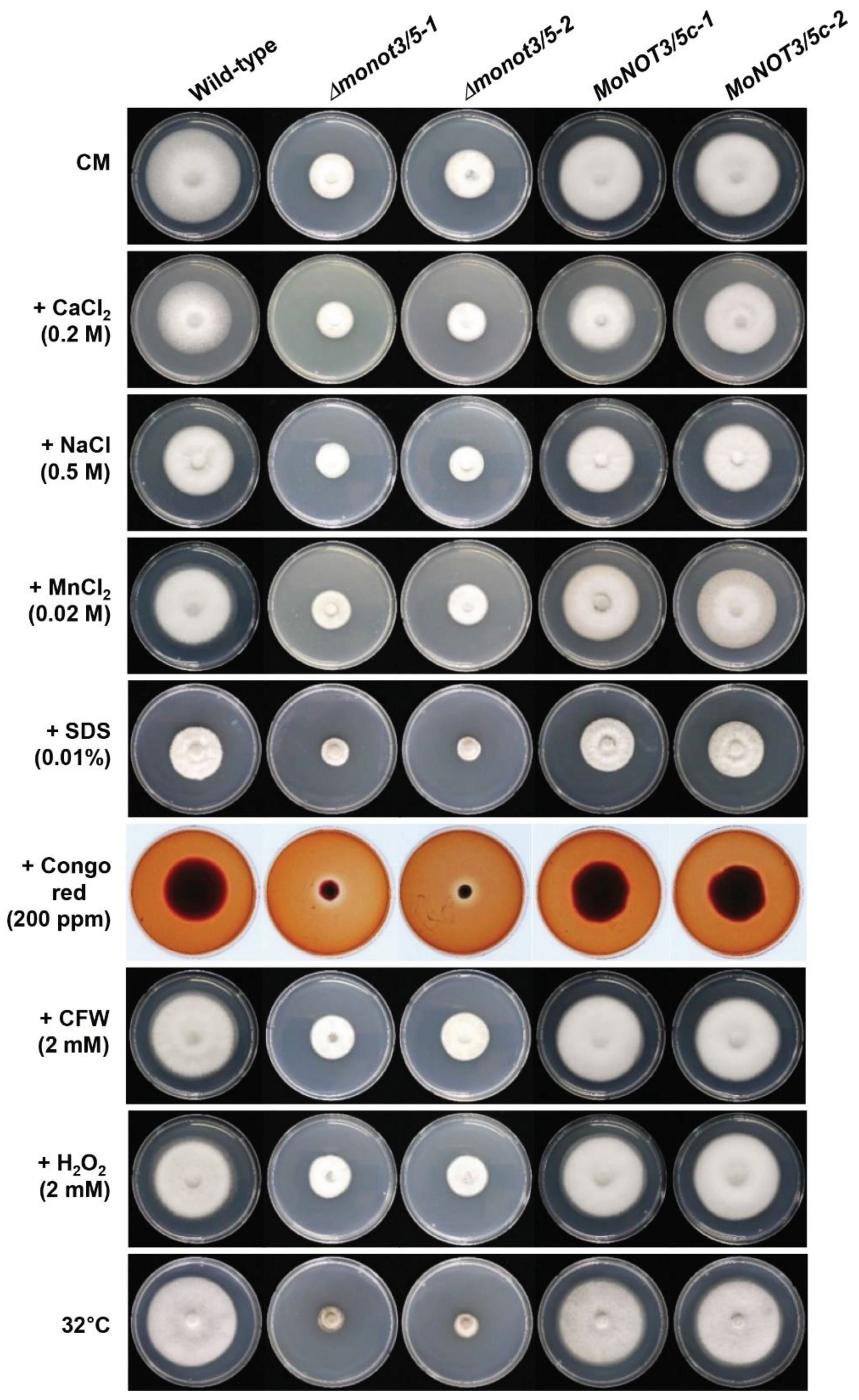 Preprints 98969 g007