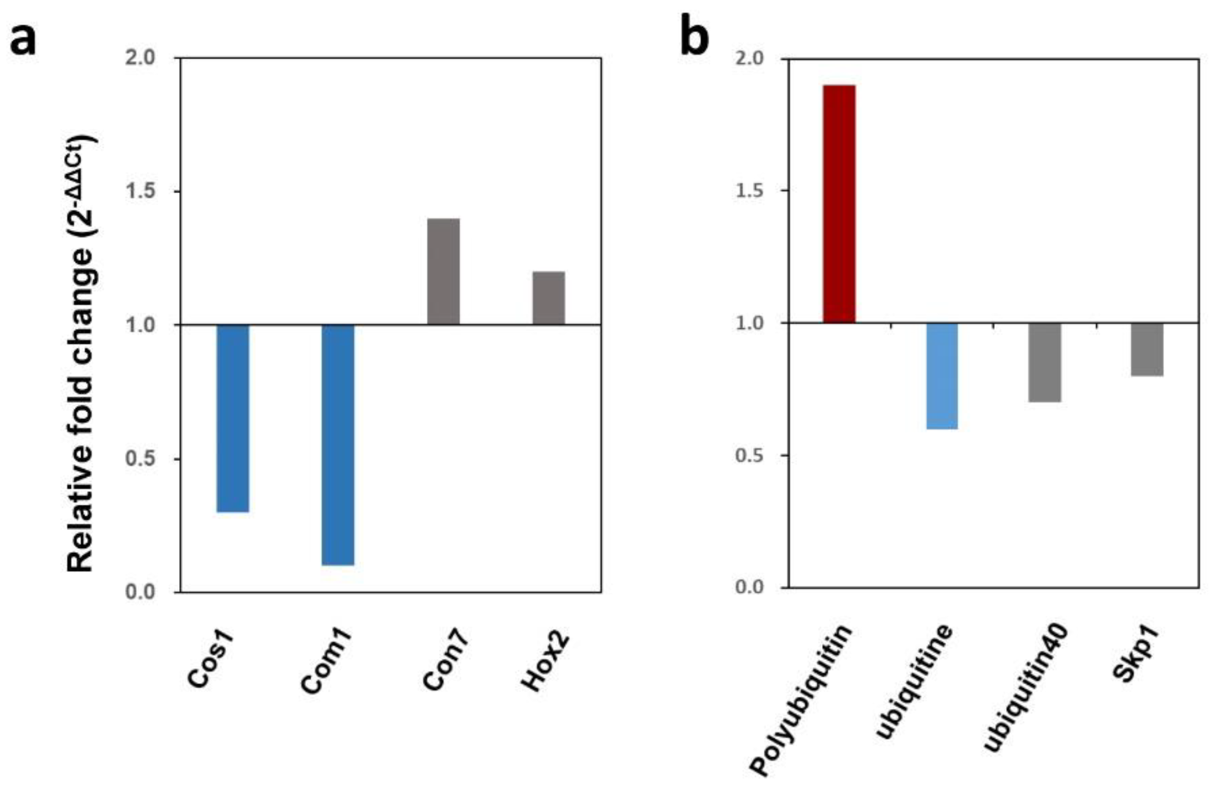 Preprints 98969 g008