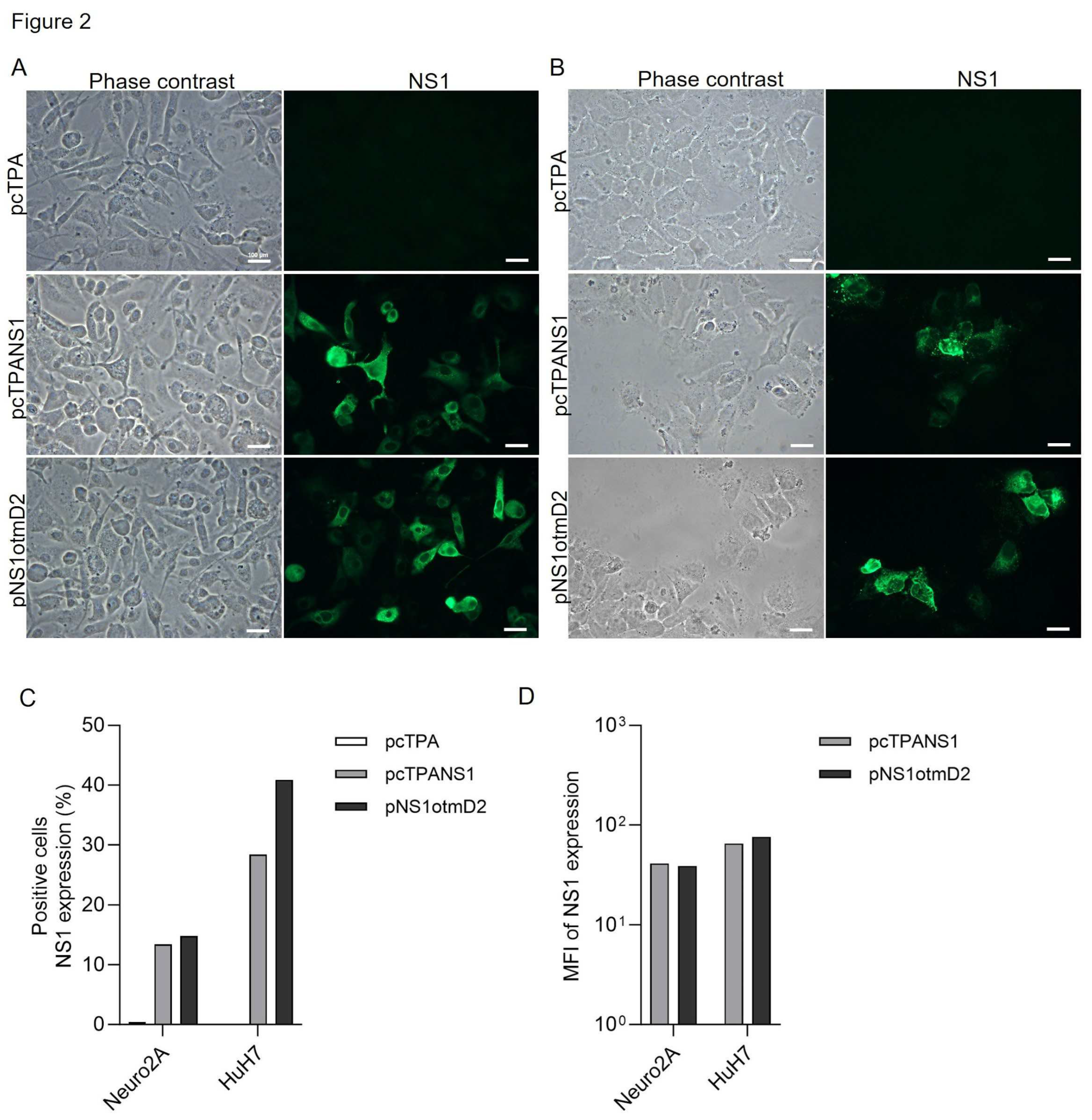 Preprints 90540 g002