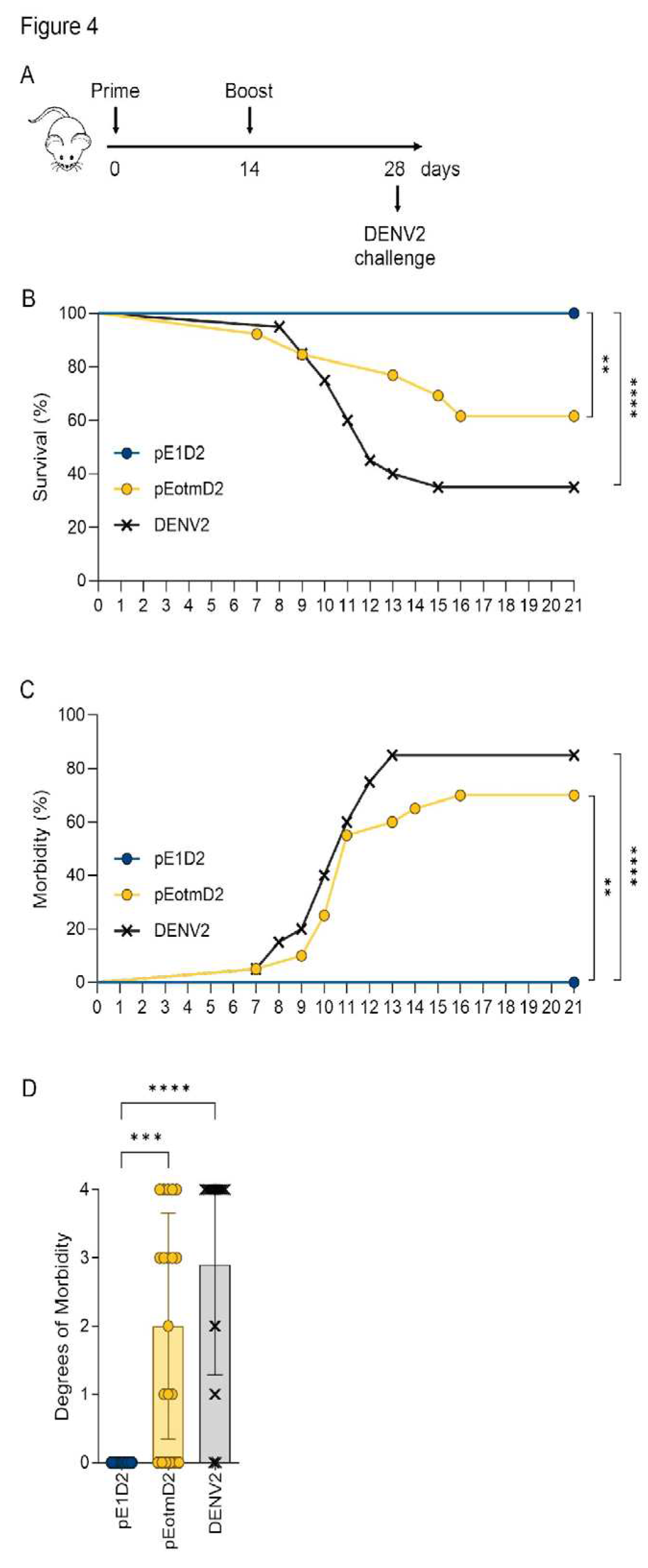 Preprints 90540 g004