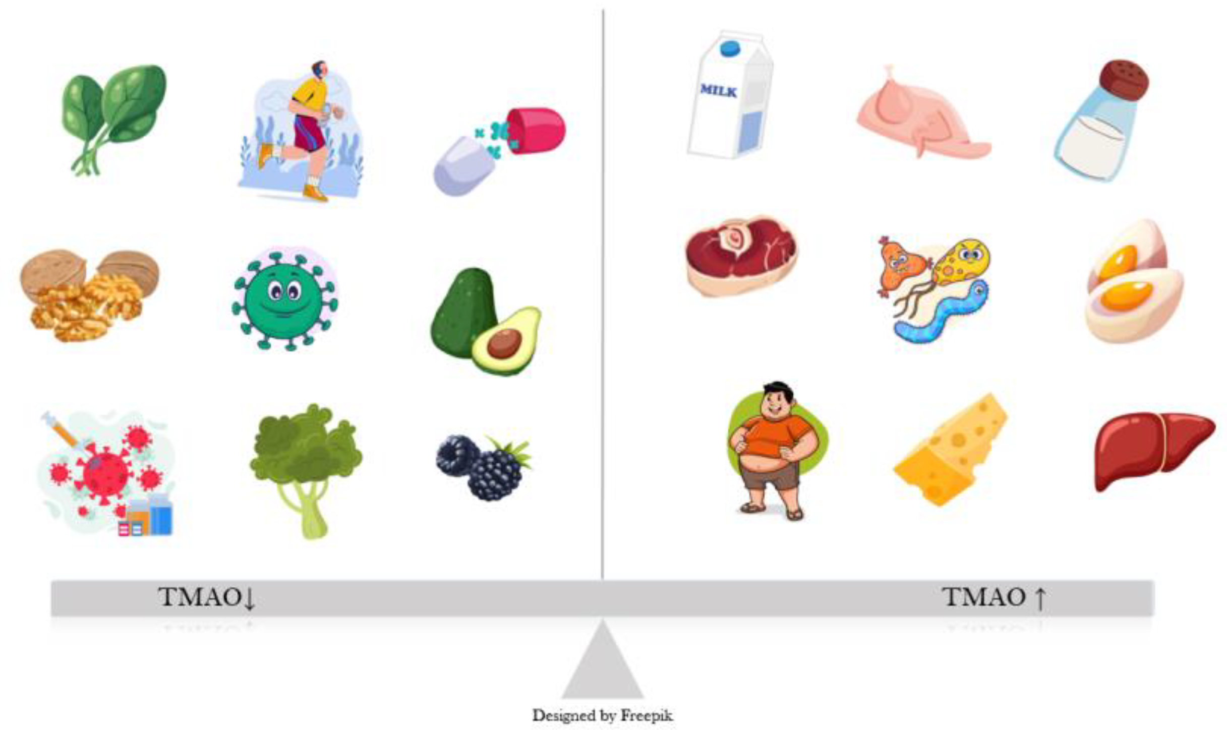 Preprints 163896 g001
