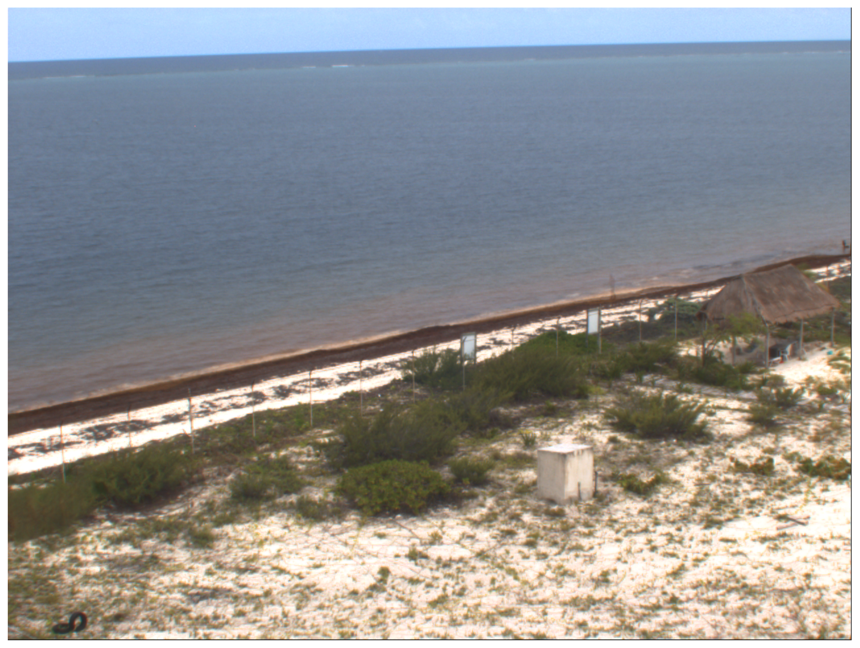 Preprints 188389 g002