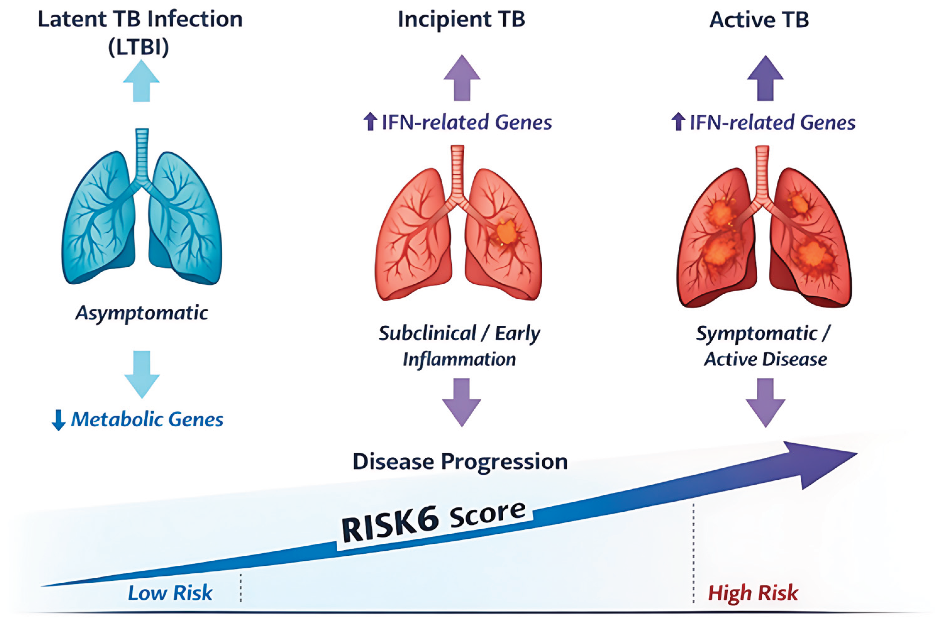 Preprints 205683 g002 Preprints 205683 g002