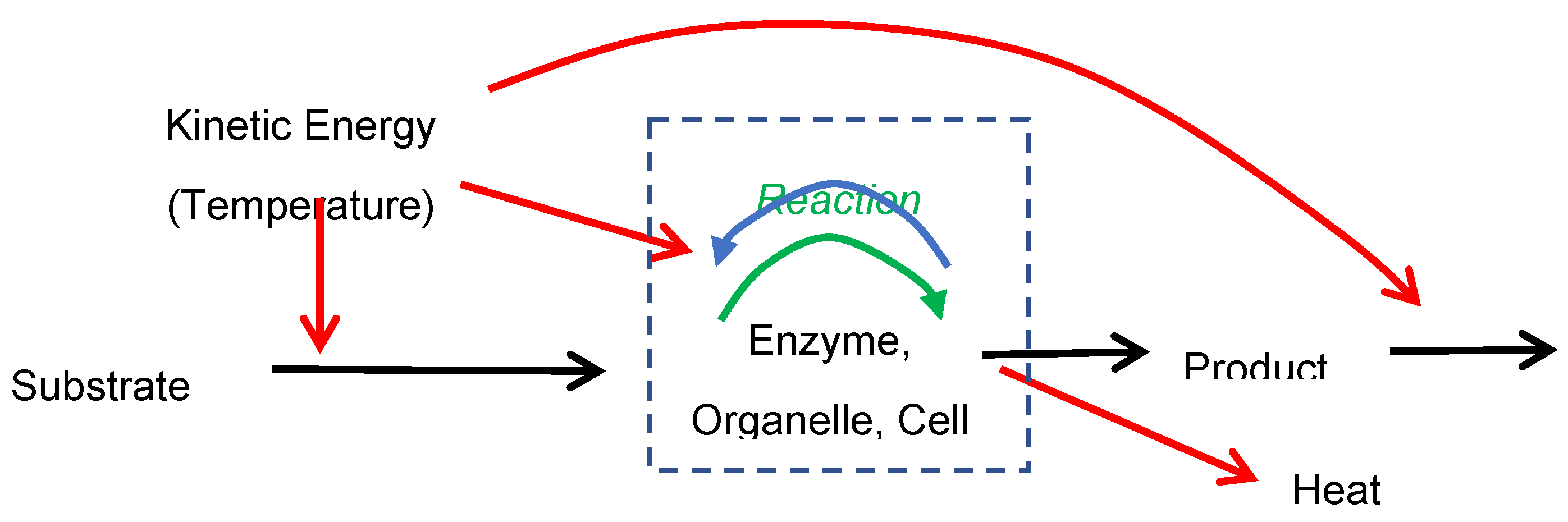 Preprints 201539 g001