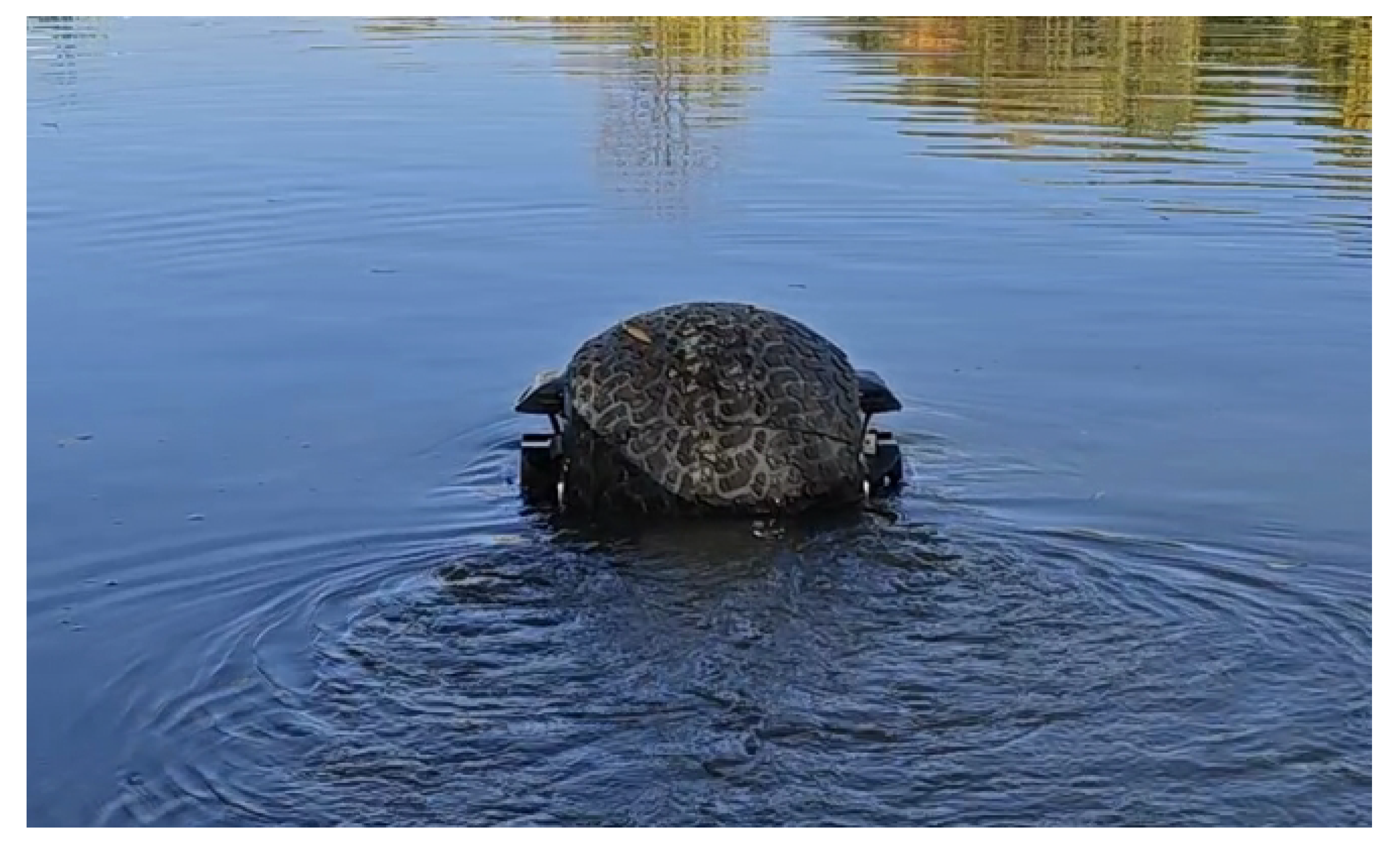 Preprints 164506 g006