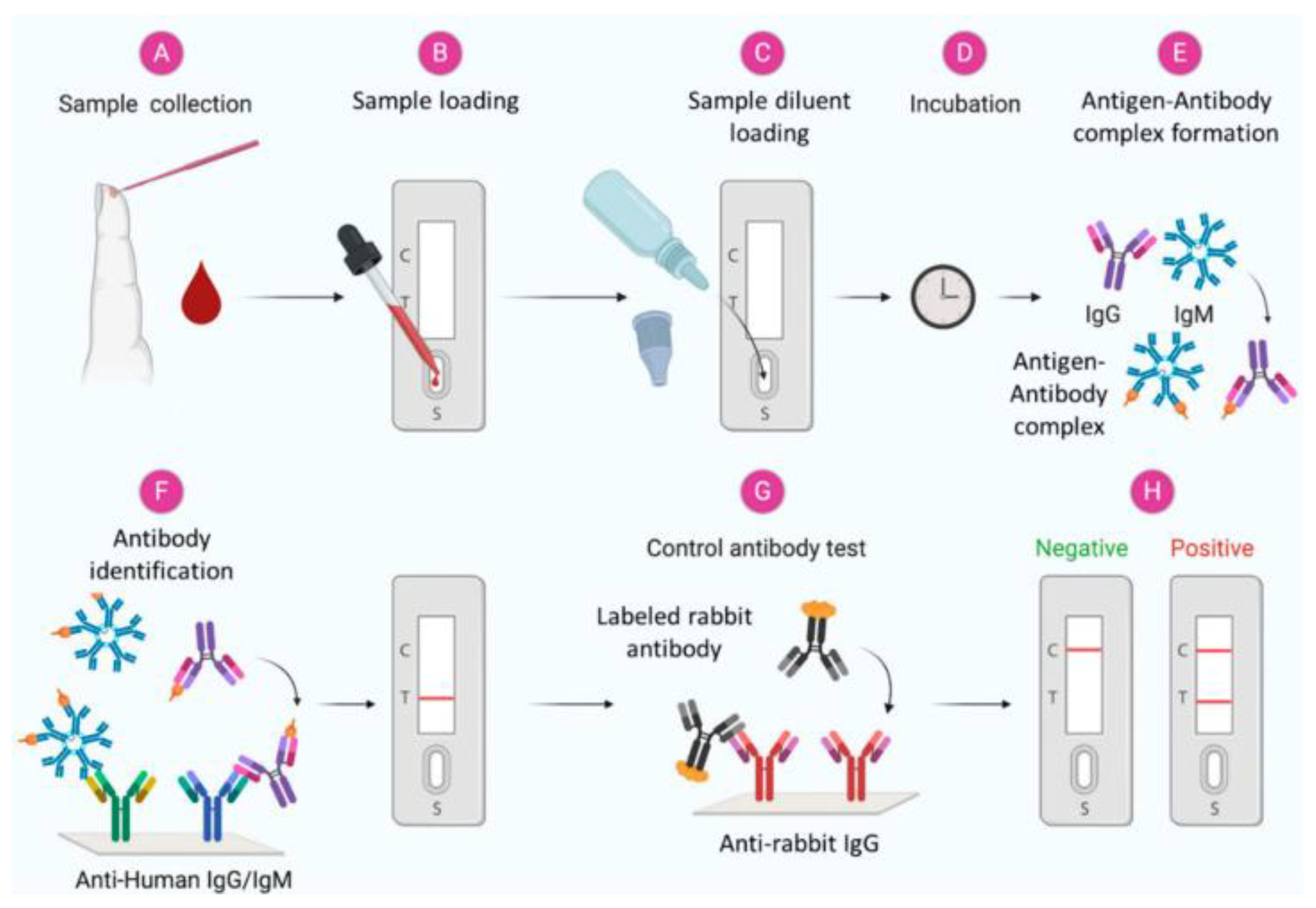 Preprints 235624 g002 Preprints 235624 g002