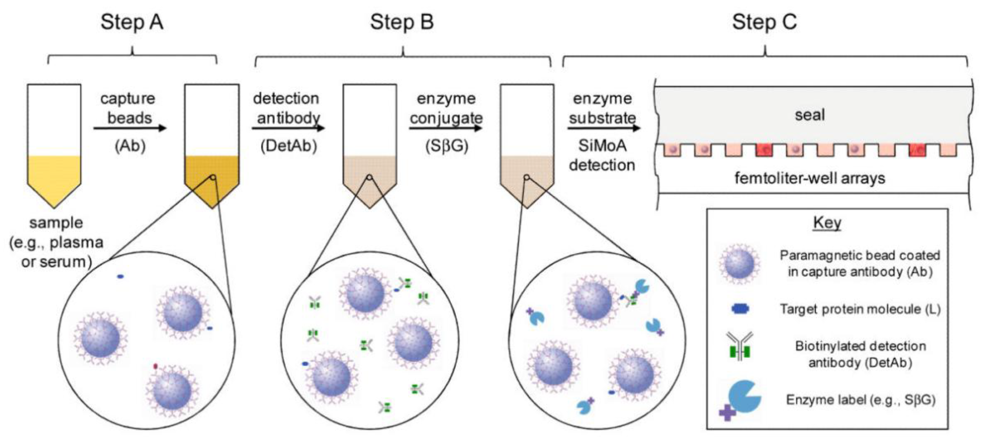 Preprints 235624 g003b