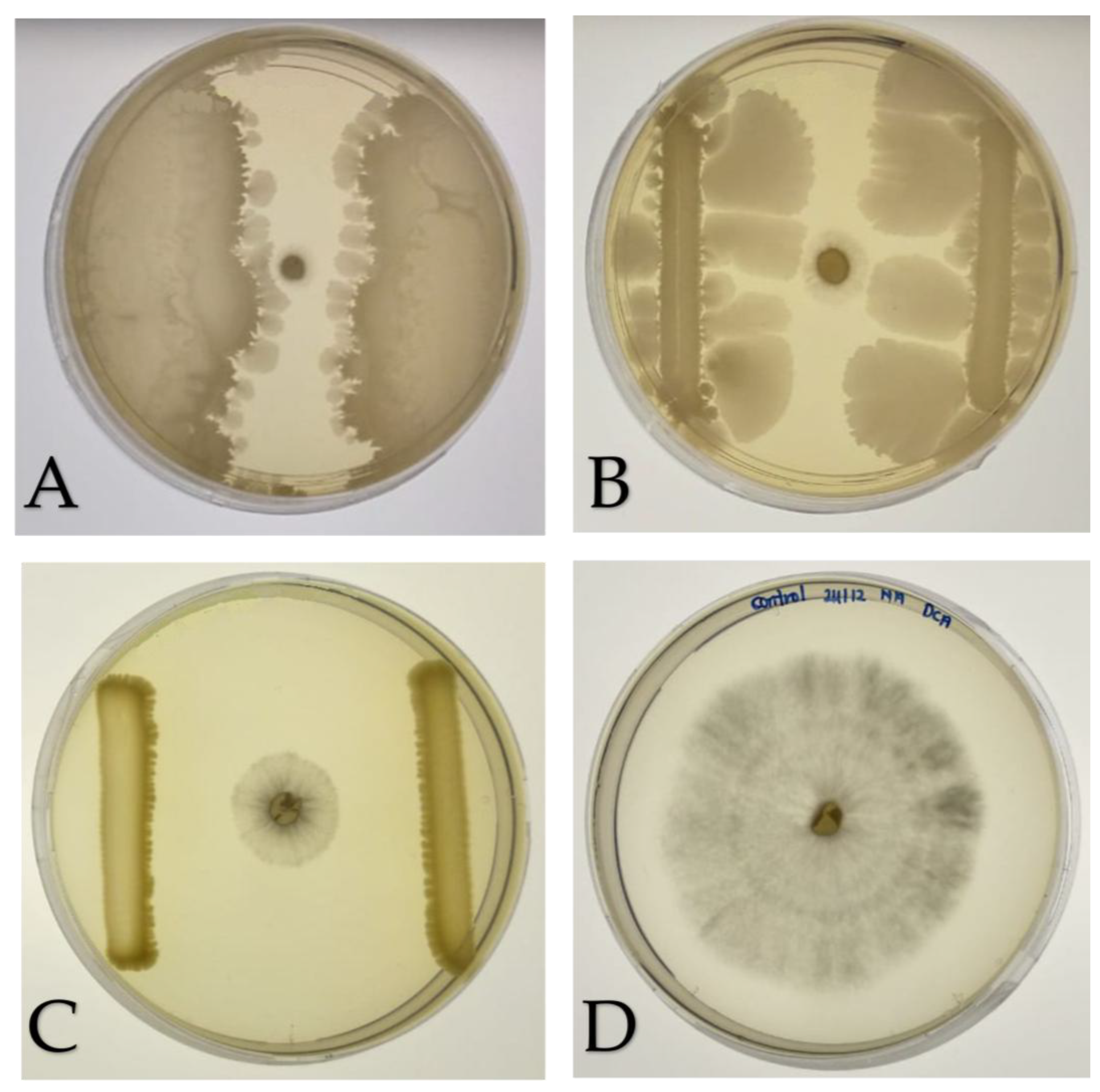 Preprints 188231 g002