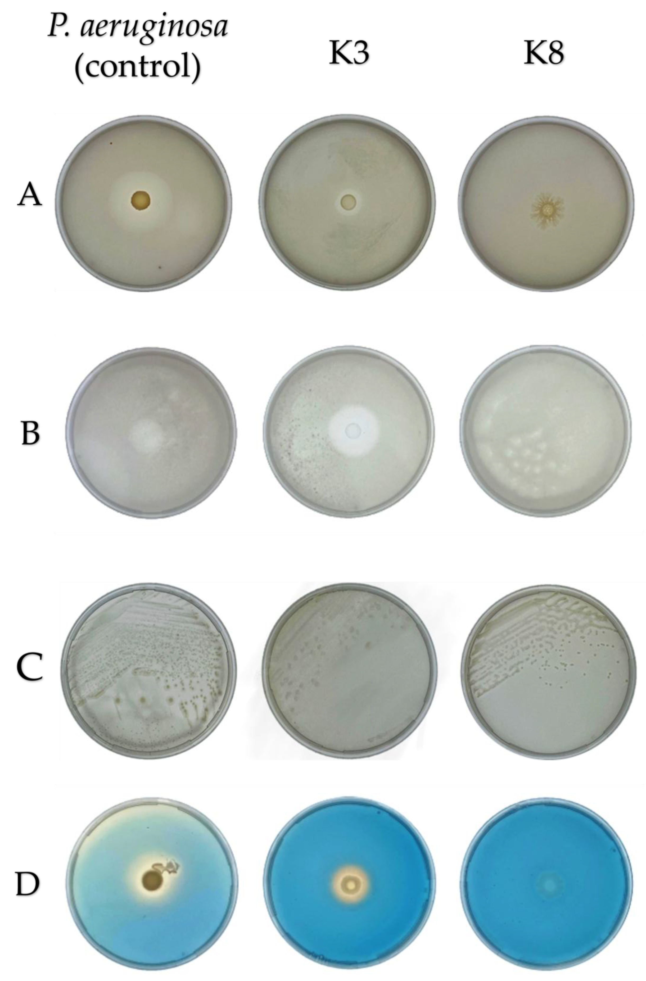 Preprints 188231 g006