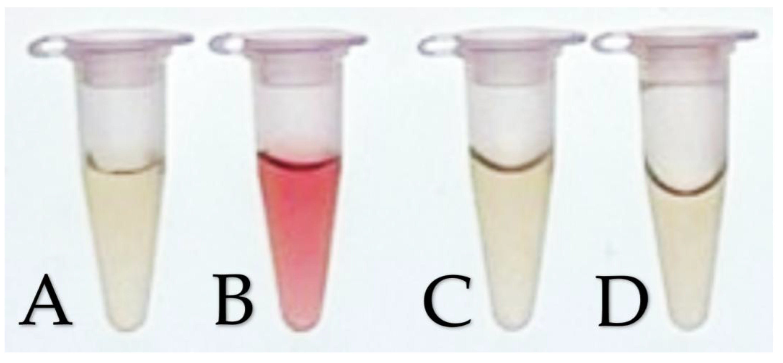 Preprints 188231 g007