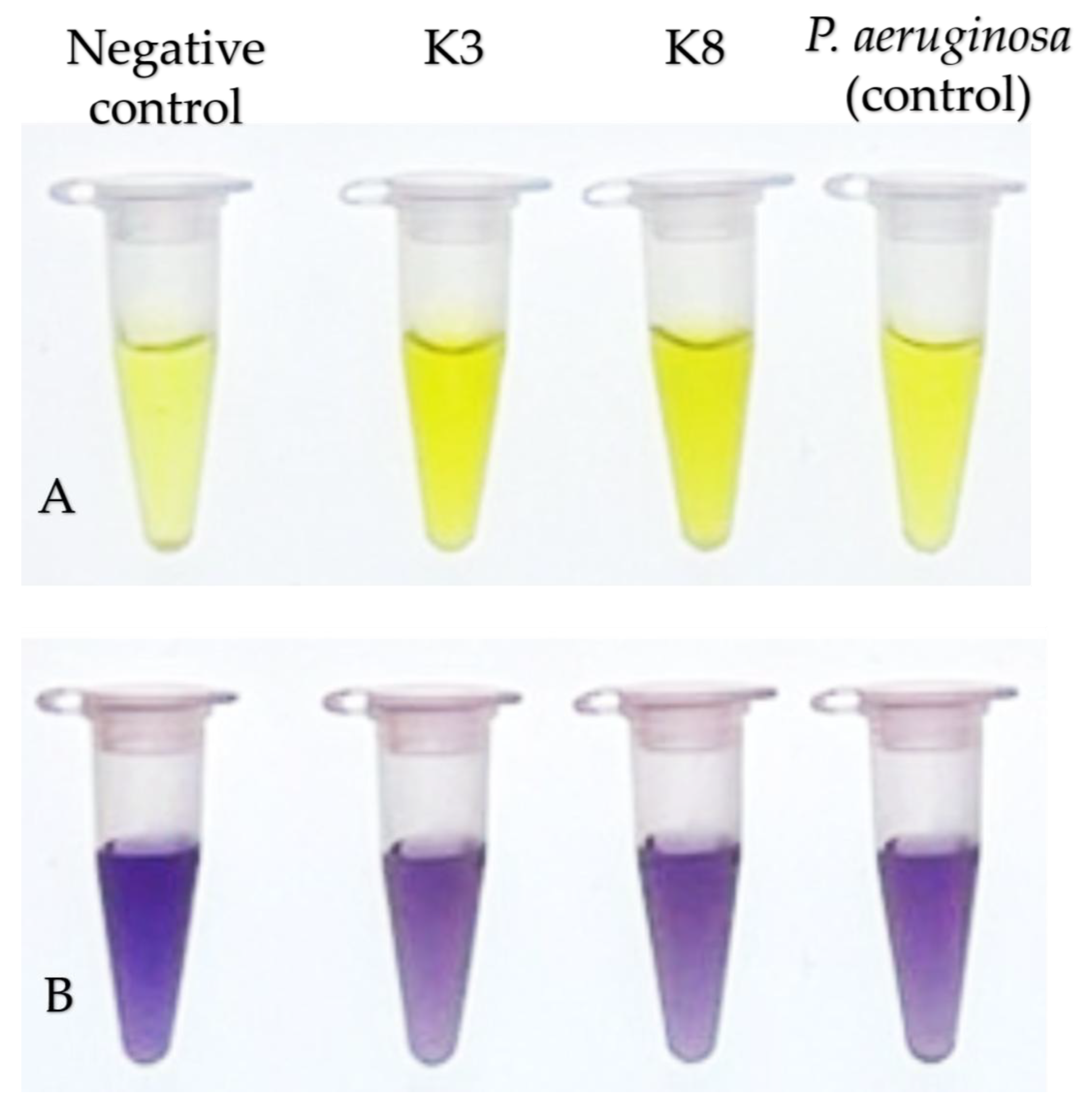 Preprints 188231 g009