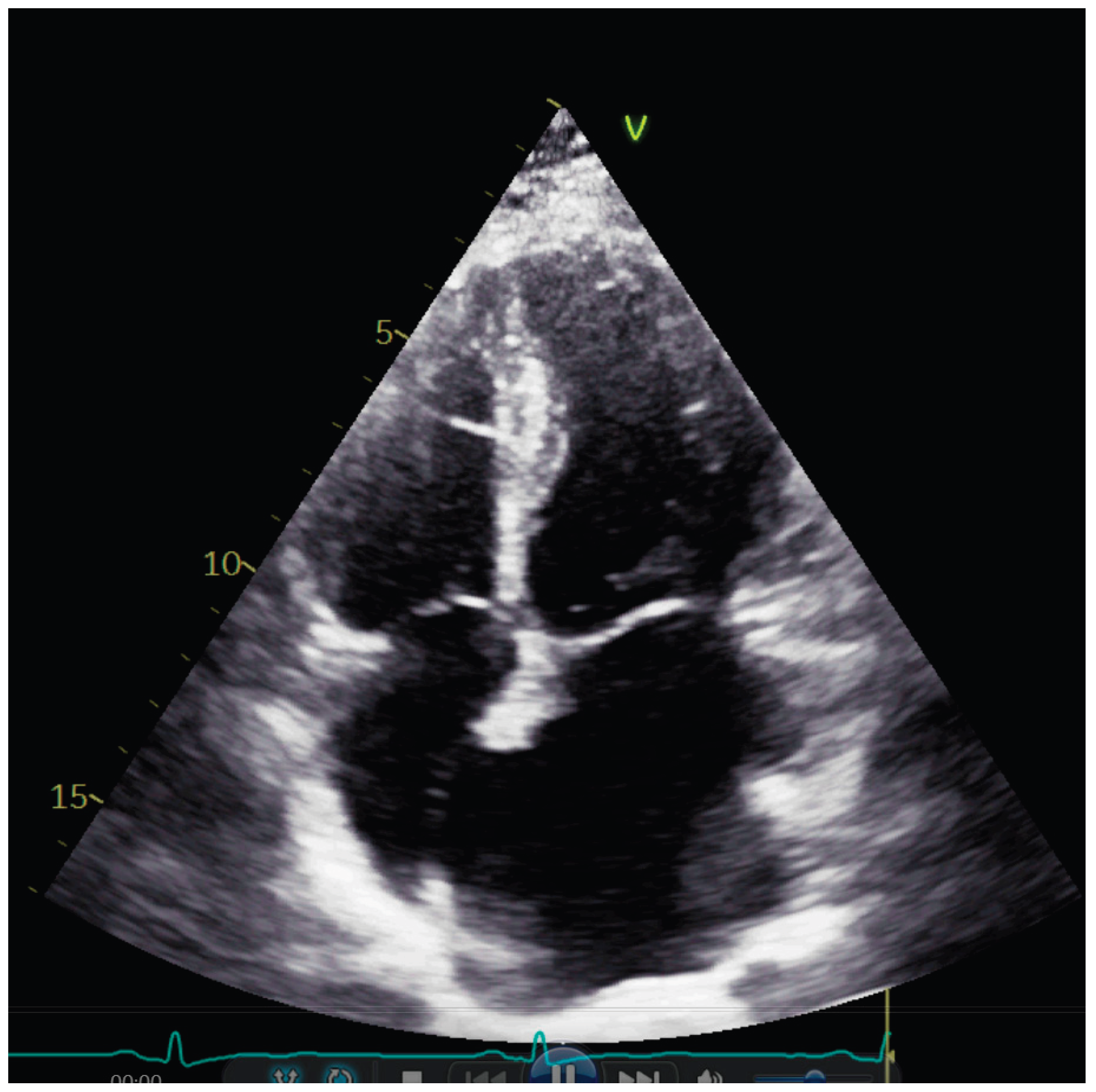 Preprints 191892 g001