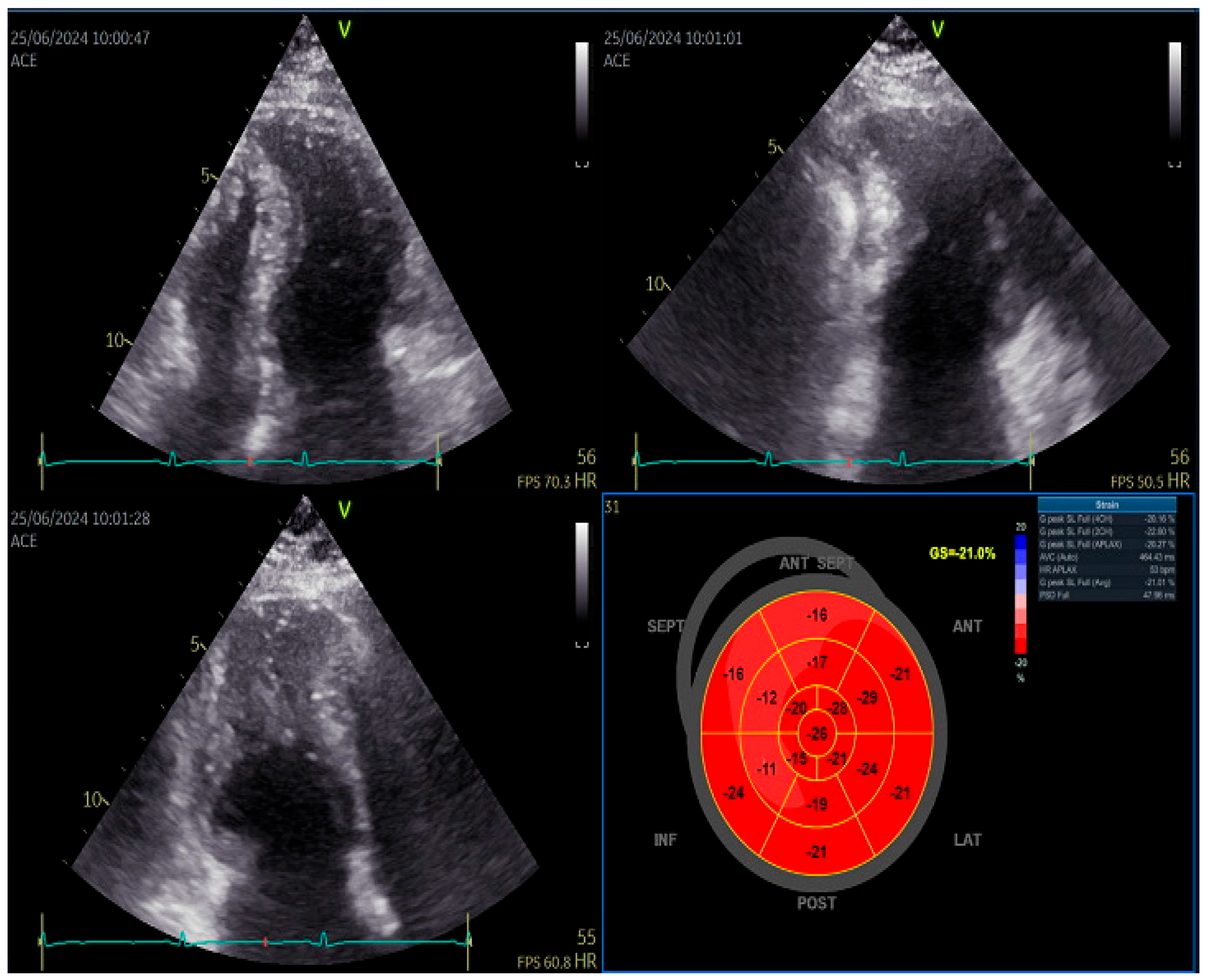 Preprints 191892 g002