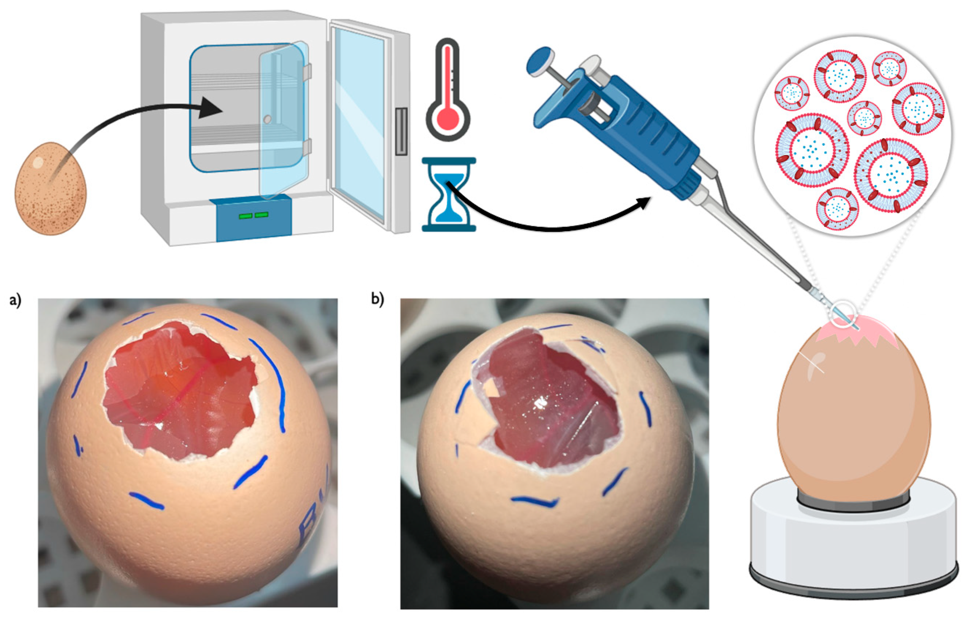 Preprints 99890 g008