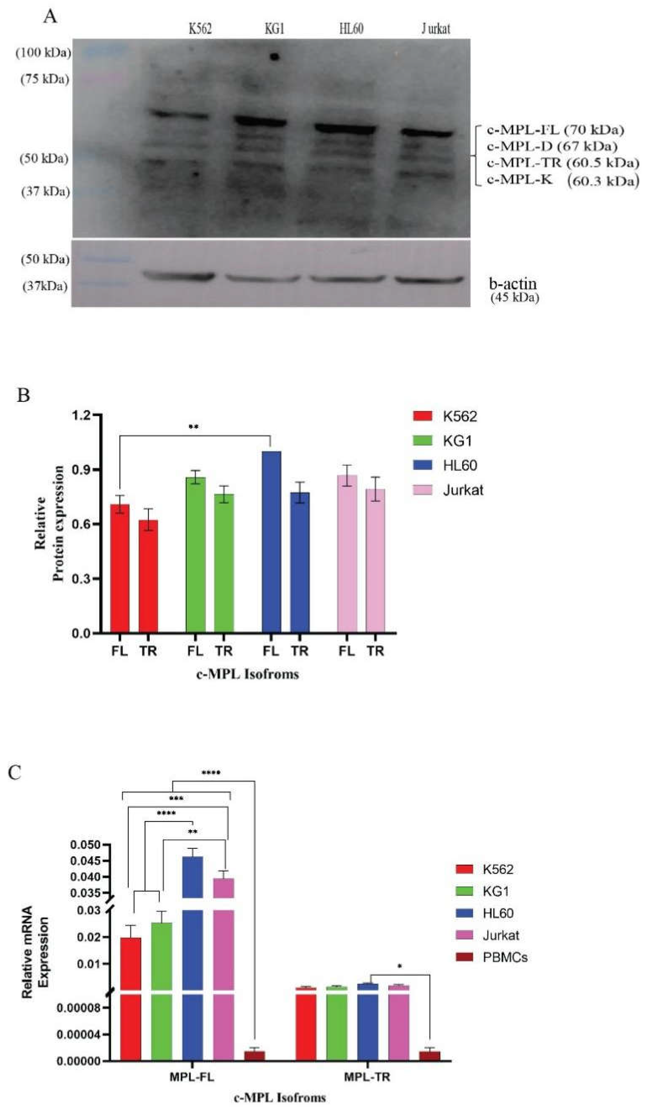 Preprints 199005 g003