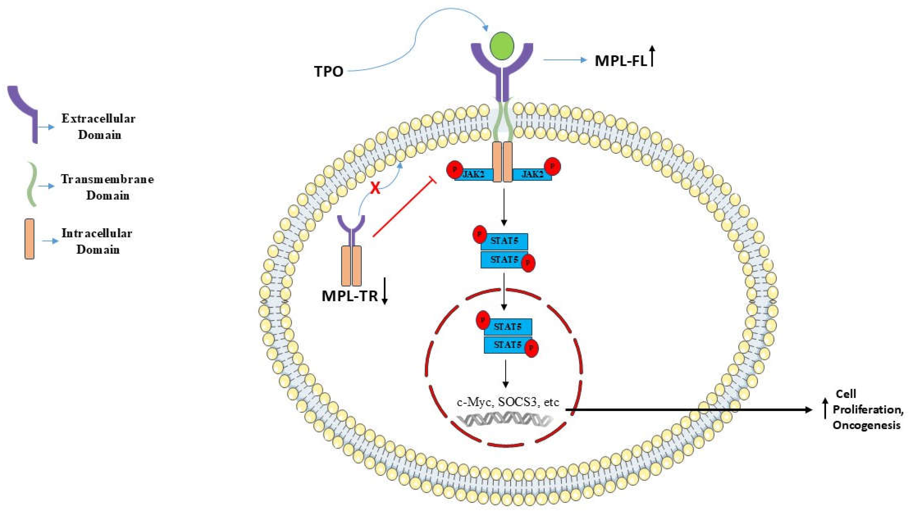 Preprints 199005 g004